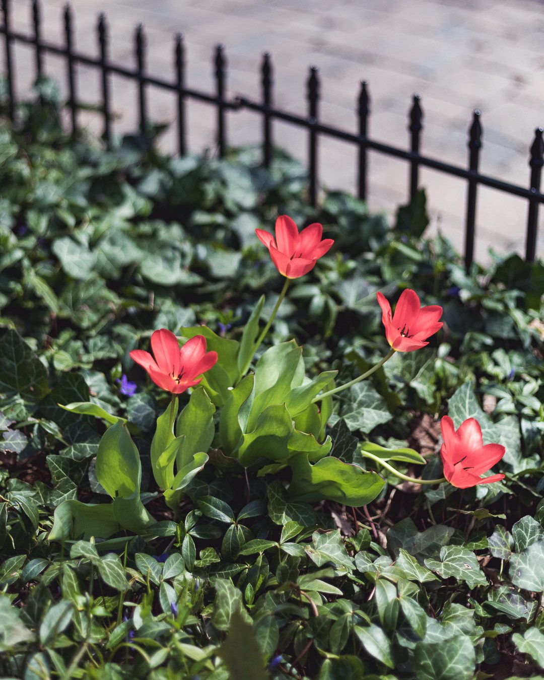 2024.04.14 - Sunnyday-1.jpg