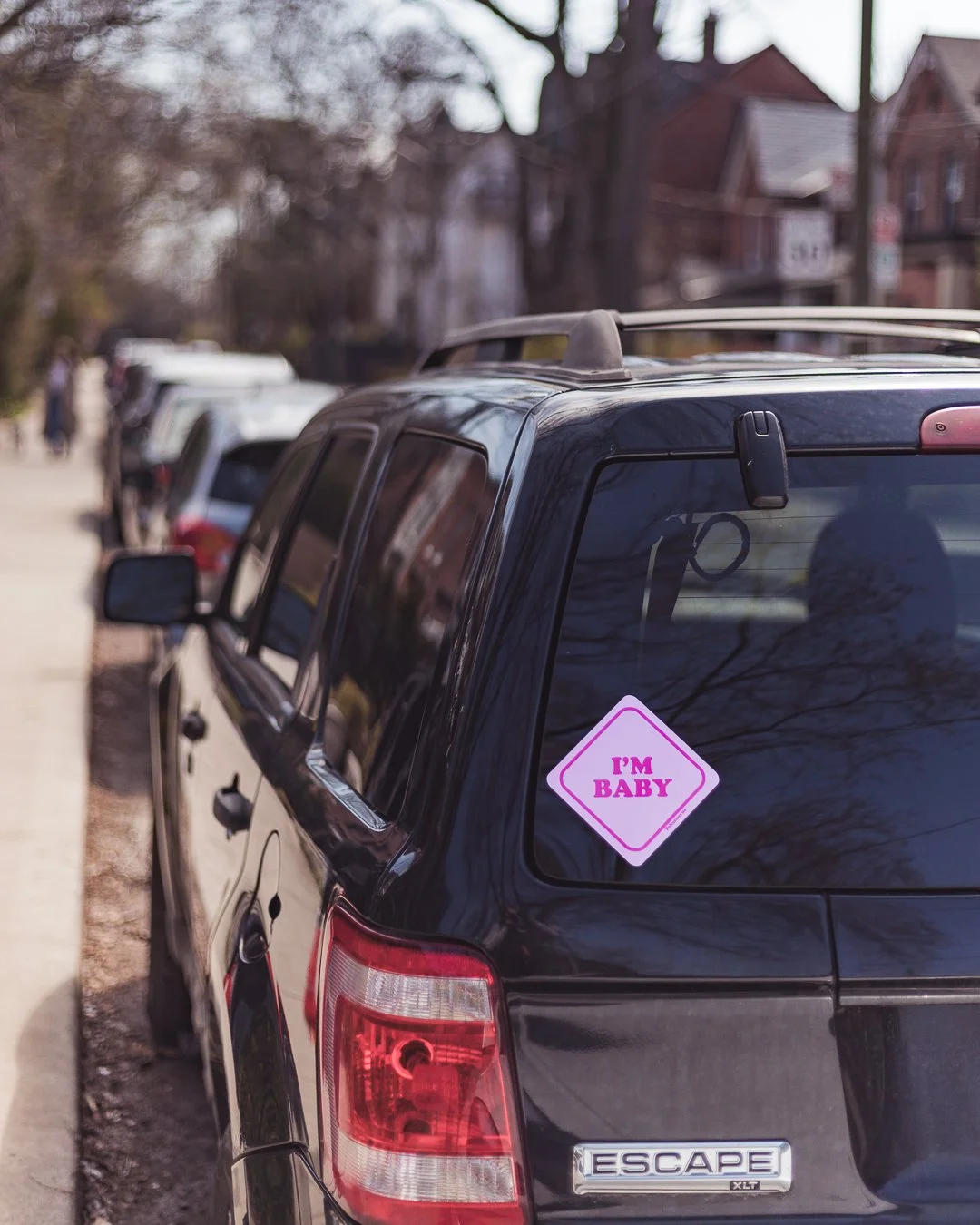 2024.04.14 - Sunnyday-6.jpg