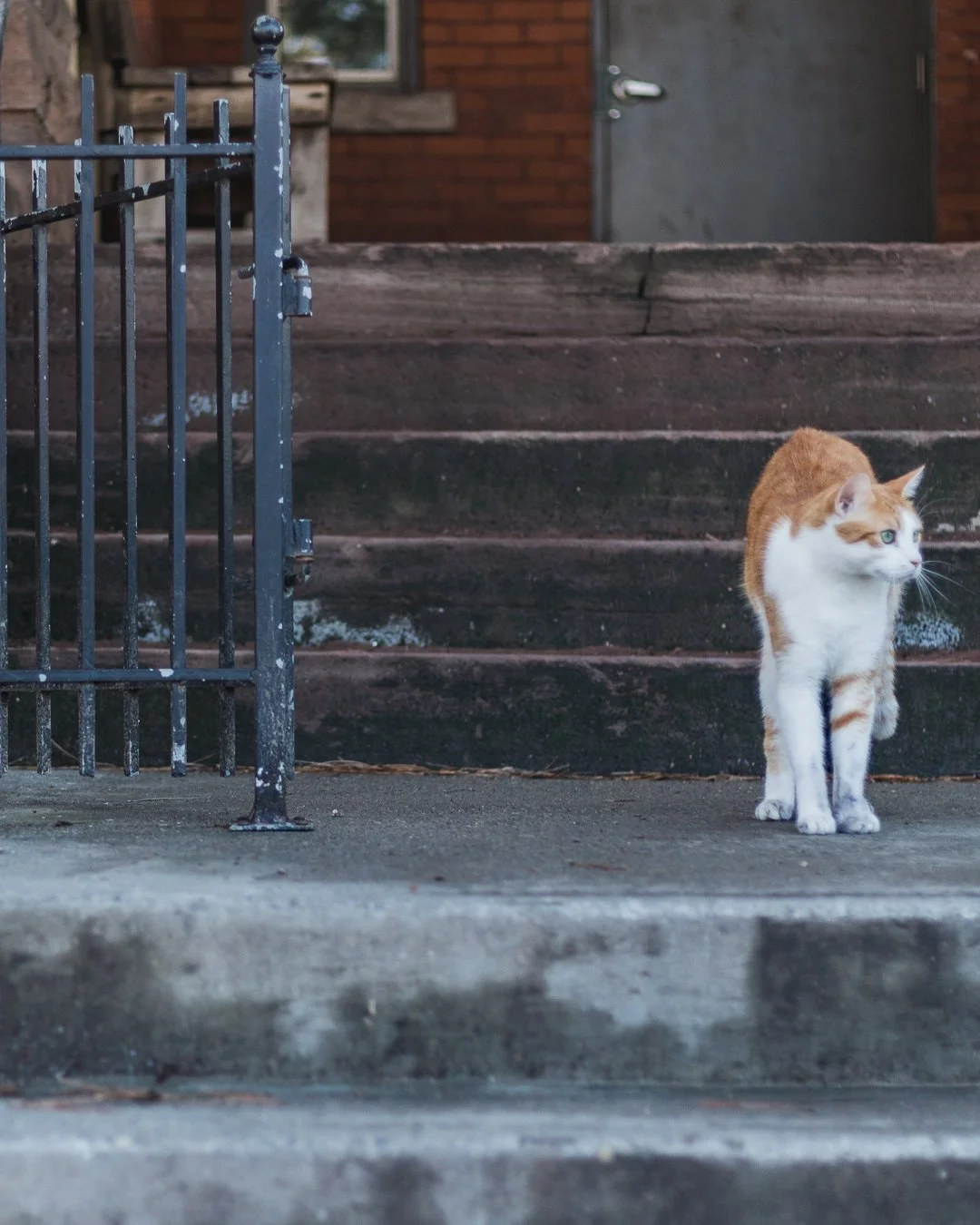 2024.04.14 - Sunnyday-7.jpg