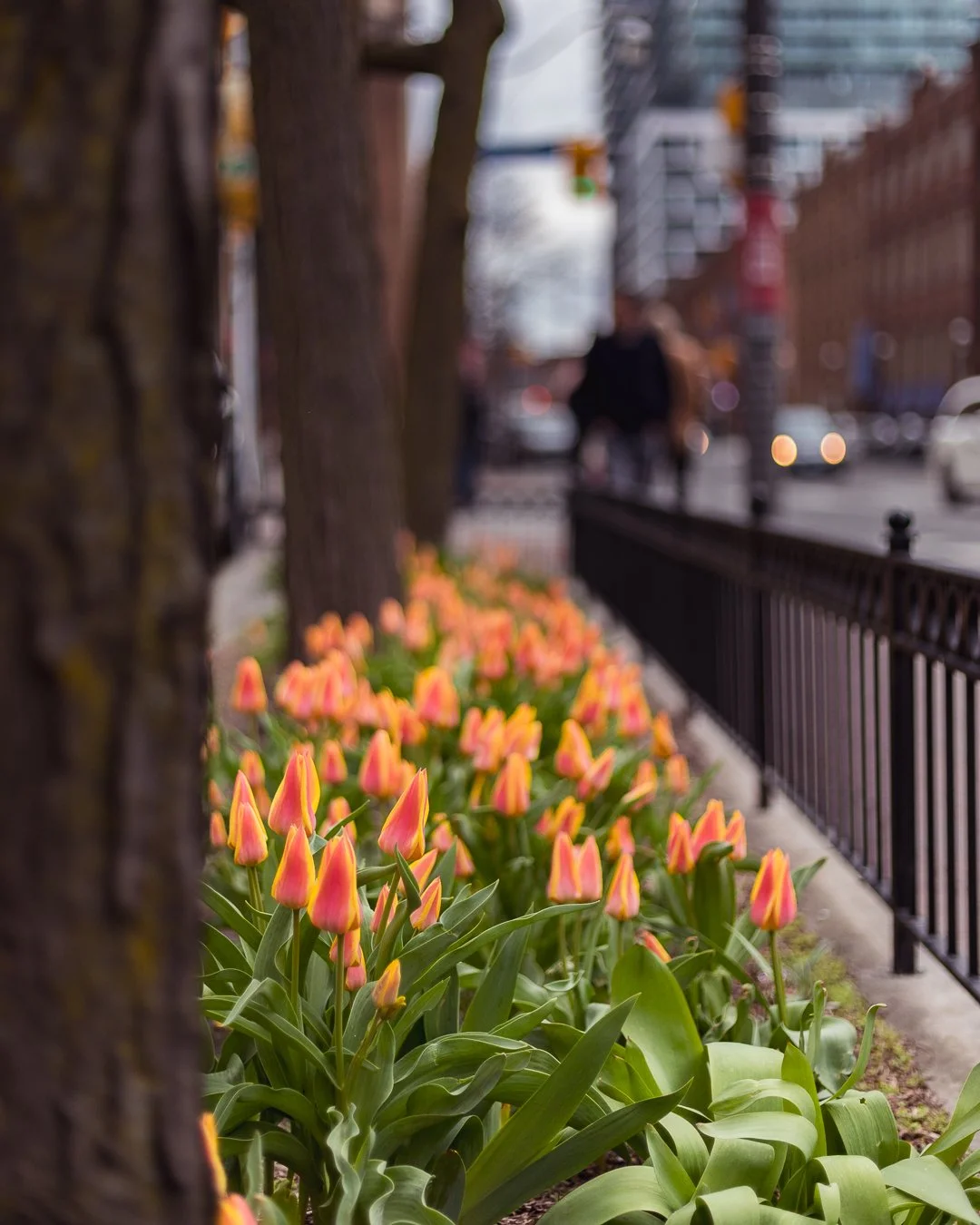 2024.04.20 - EastSide-9.jpg