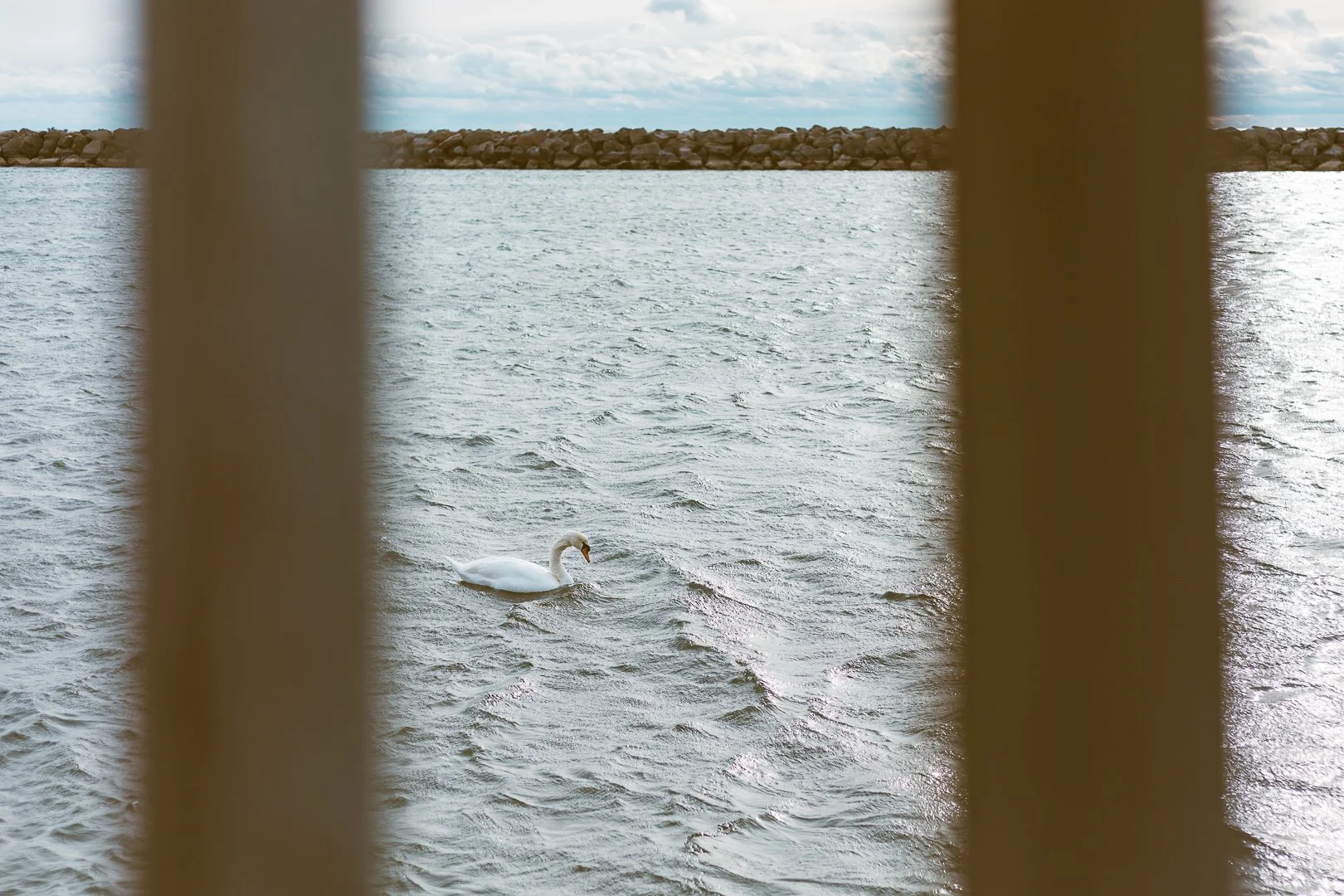 2025.01.01 - New Years Day Walk-5.jpg