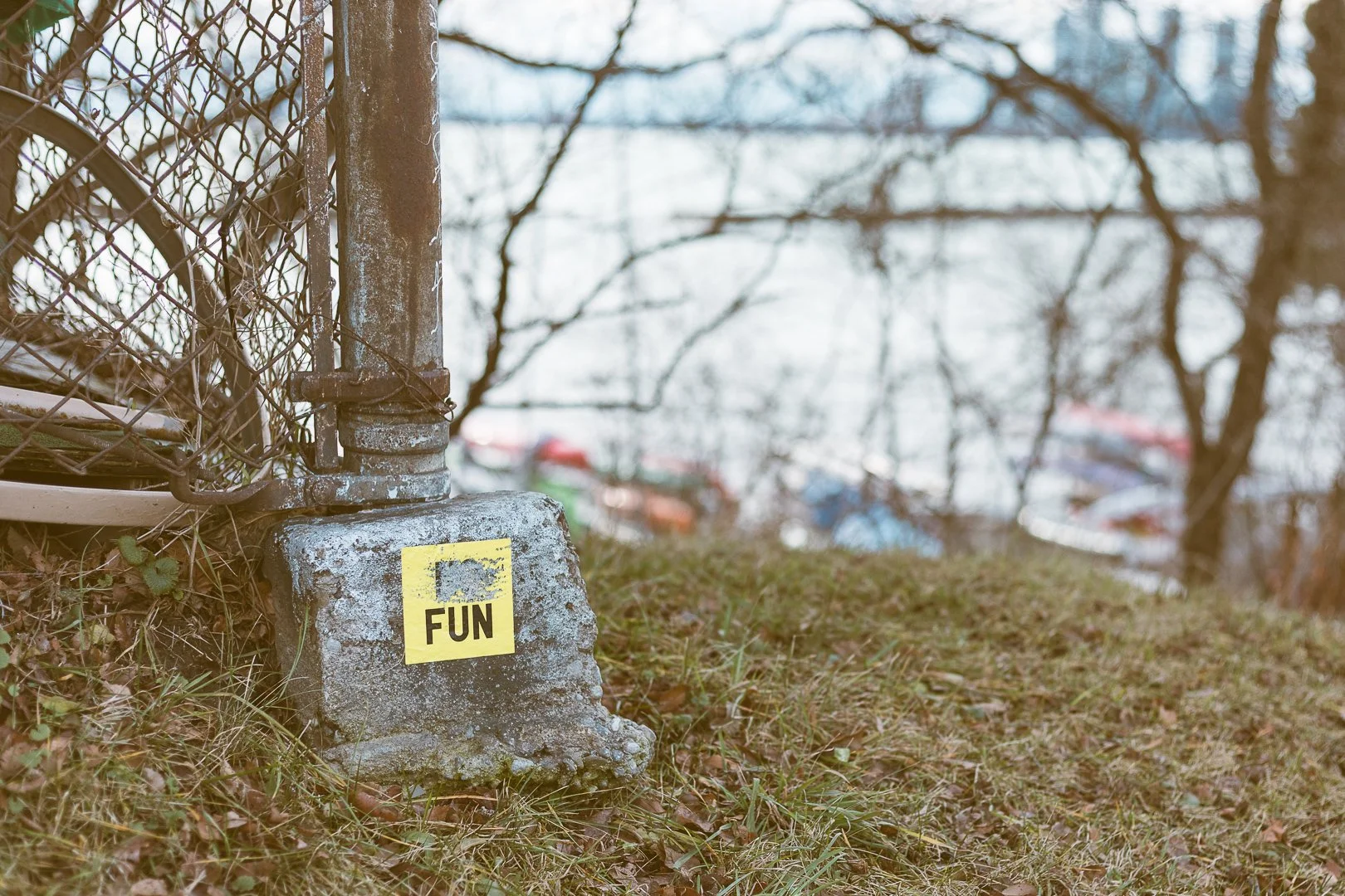 2025.01.01 - New Years Day Walk-8.jpg