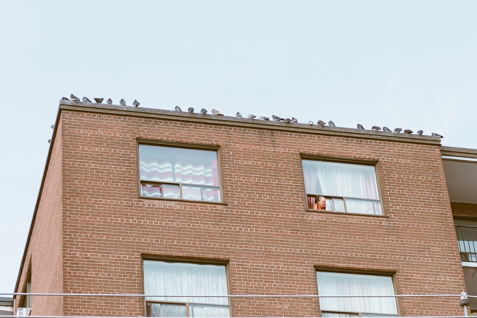 2025.01.01 - New Years Day Walk-9.jpg