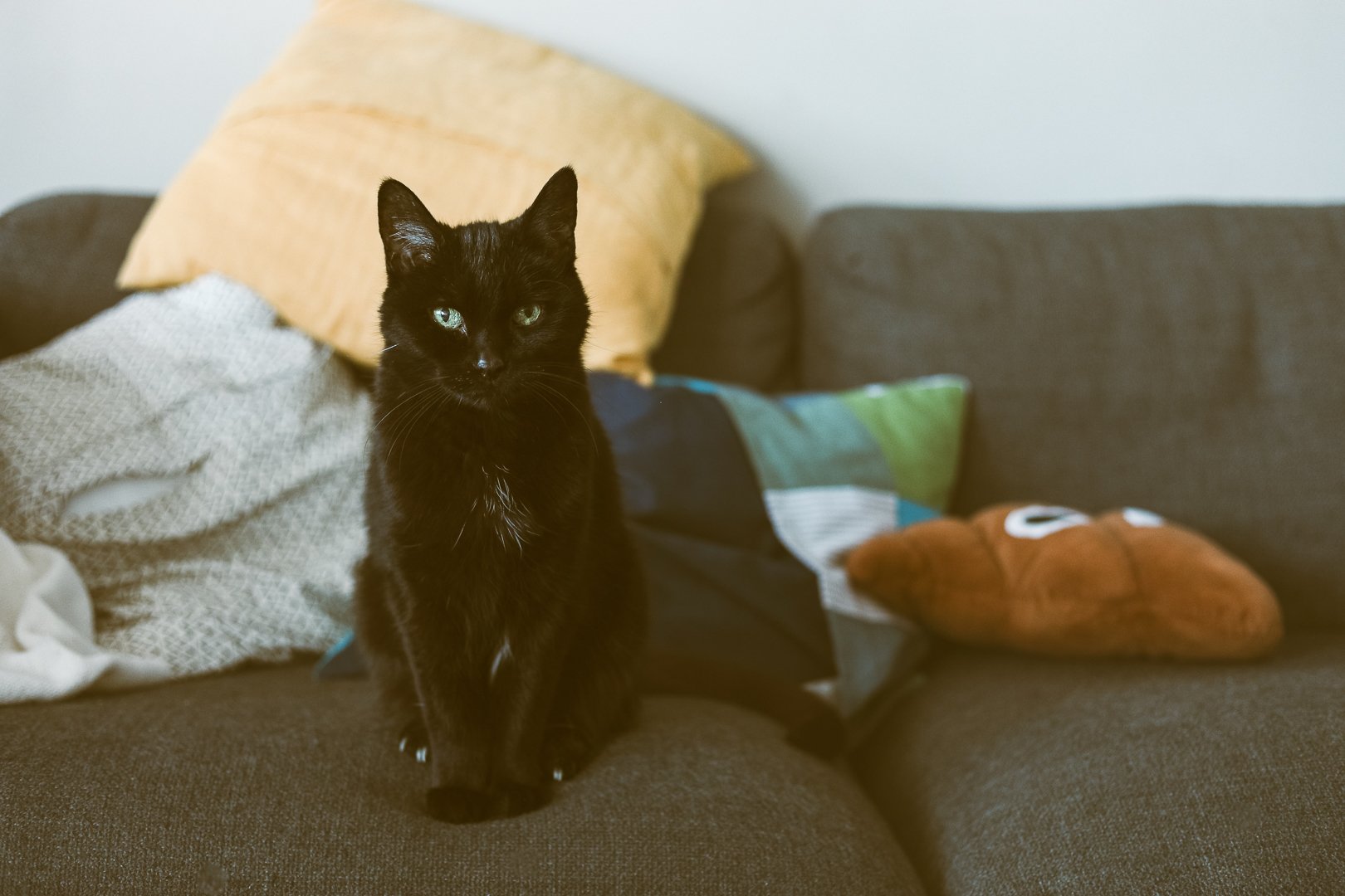 2025.03.26 - Oops all JPEGs-1.jpg