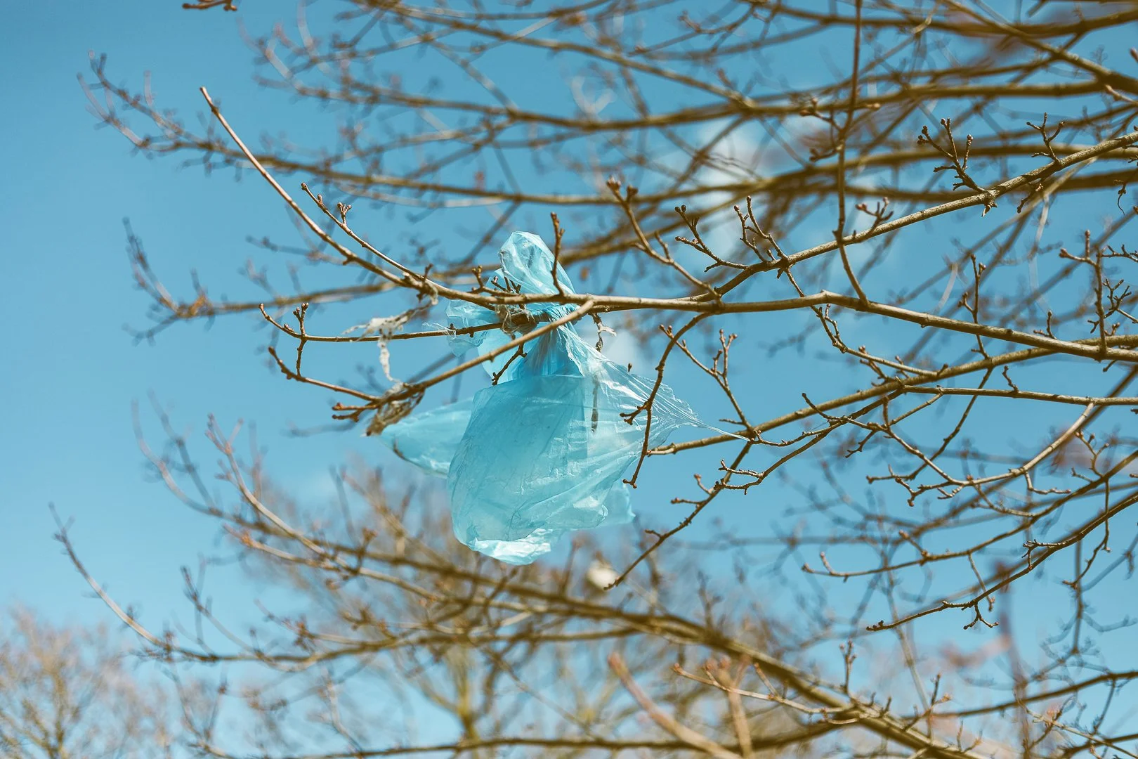 2025.03.26 - Oops all JPEGs-2.jpg