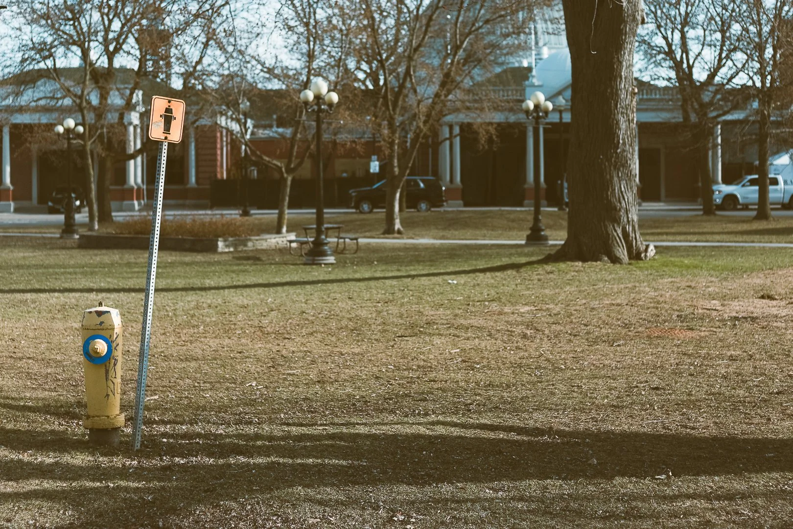 2025.03.26 - Oops all JPEGs-5.jpg