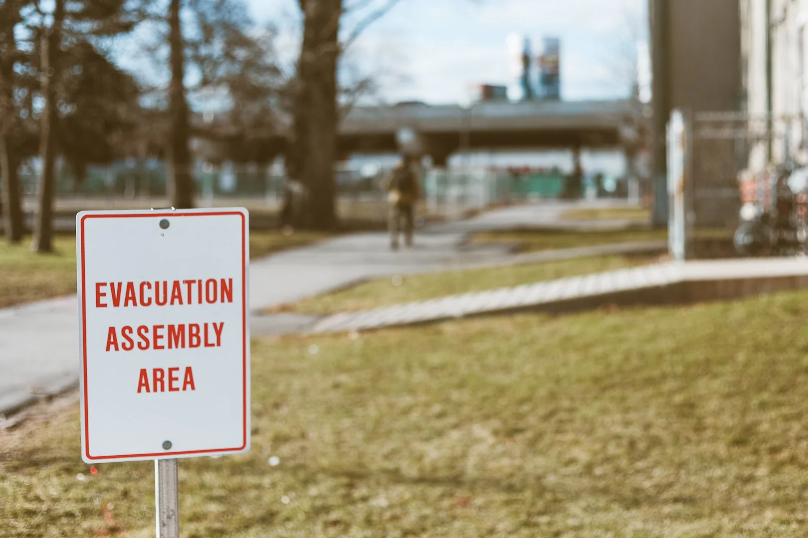 2025.03.26 - Oops all JPEGs-6.jpg