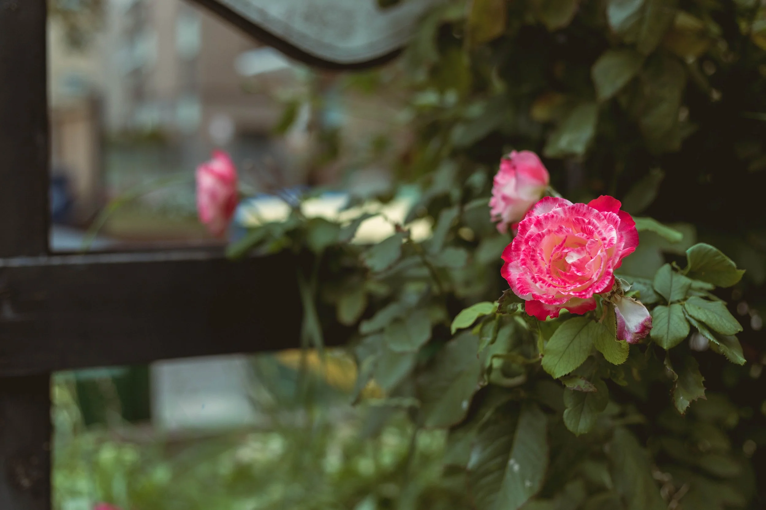 2025.09.21 - random walks-1.jpg