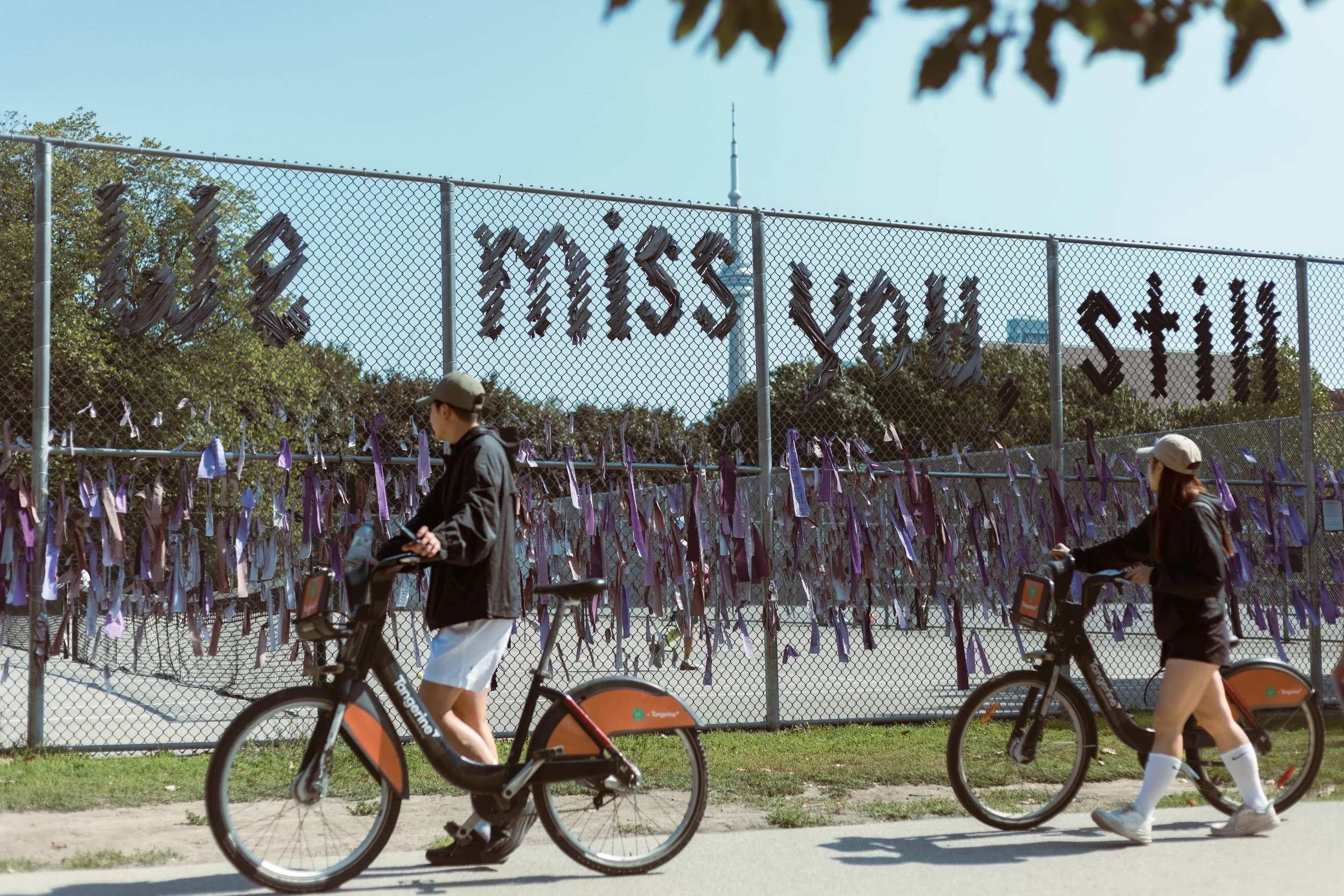 2025.09.21 - random walks-15.jpg