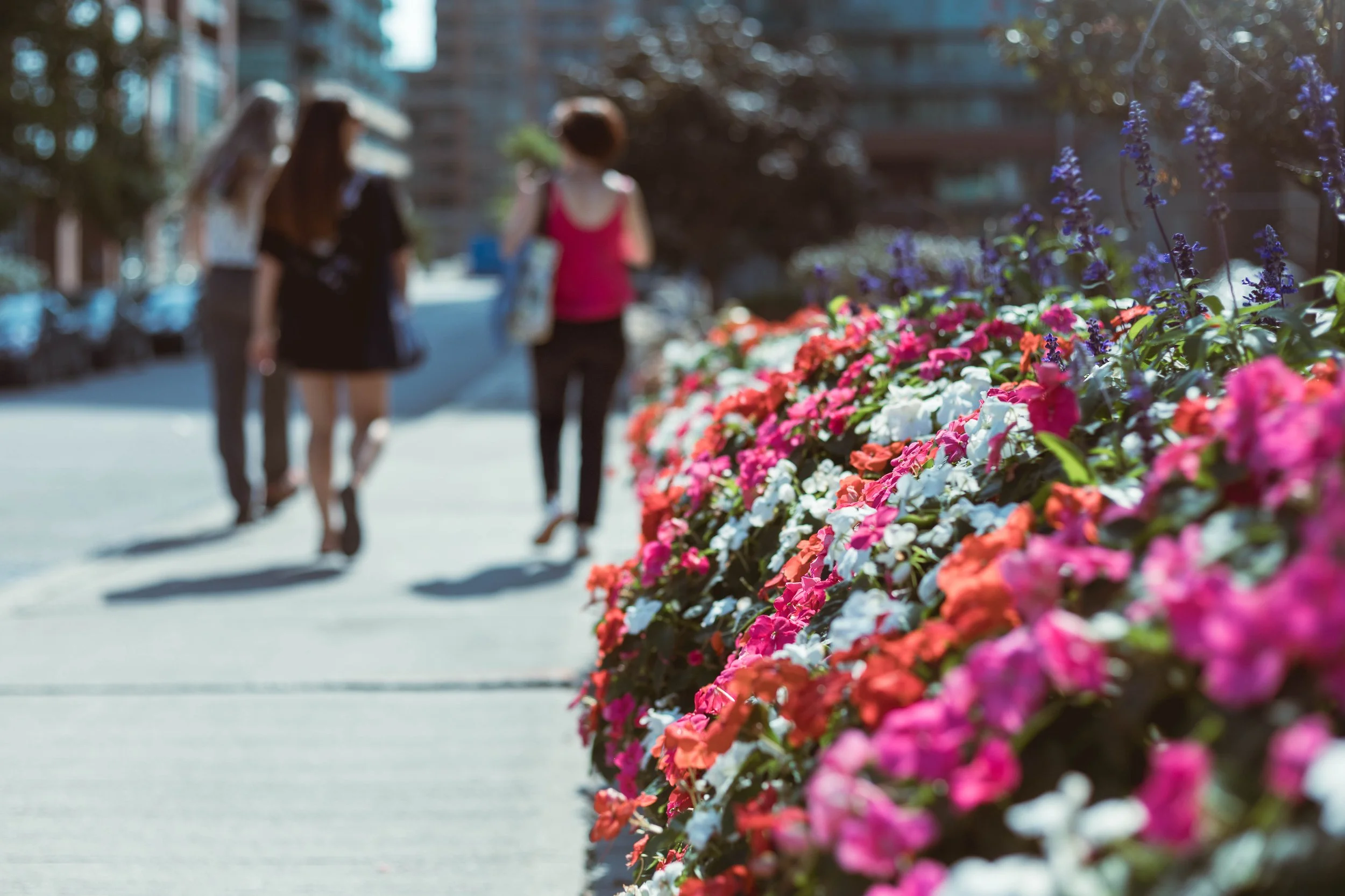 2025.09.21 - random walks-19.jpg