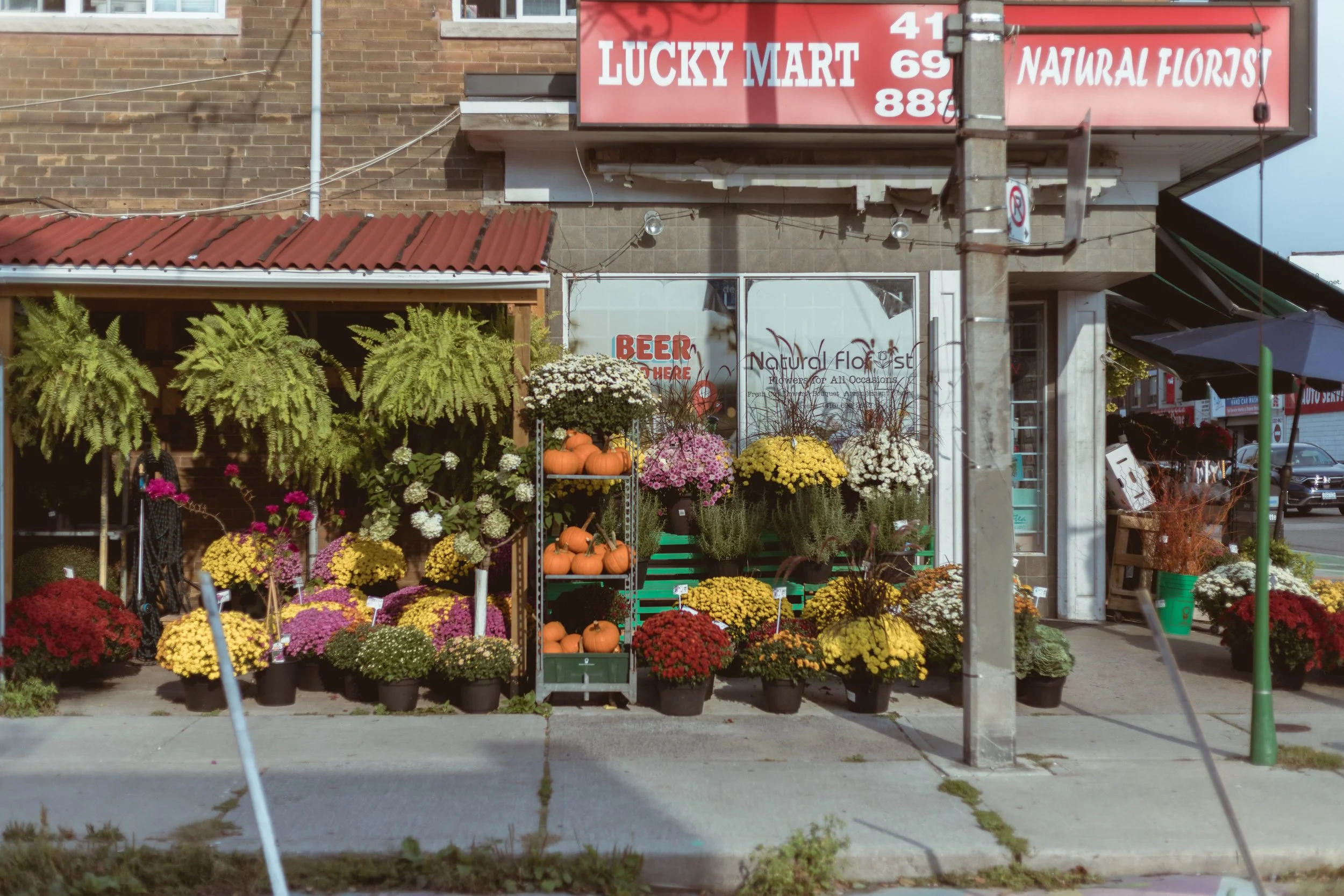 2025.09.27 - East End Walks-28.jpg