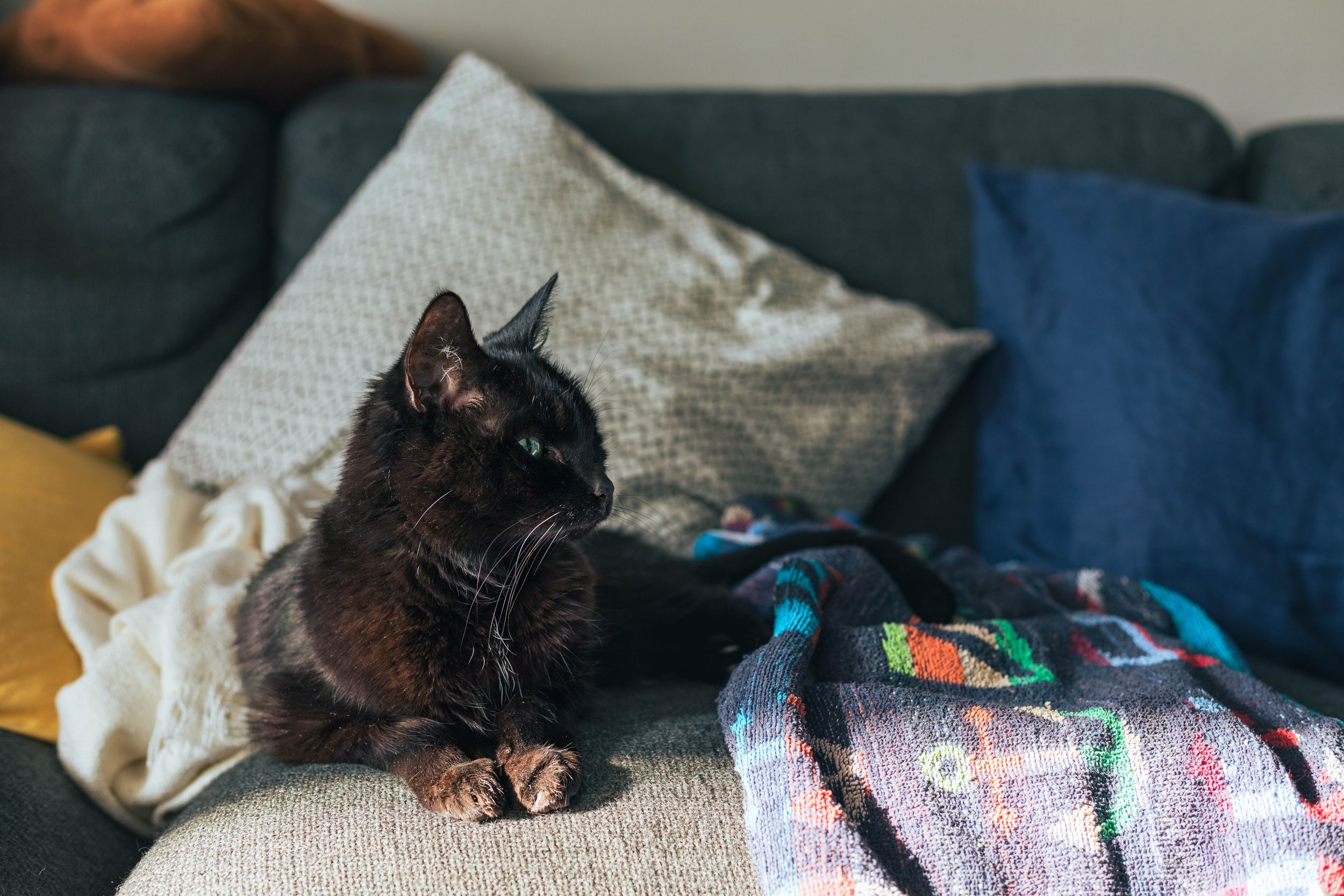 2025.11.26 - Random November Things-1.jpg