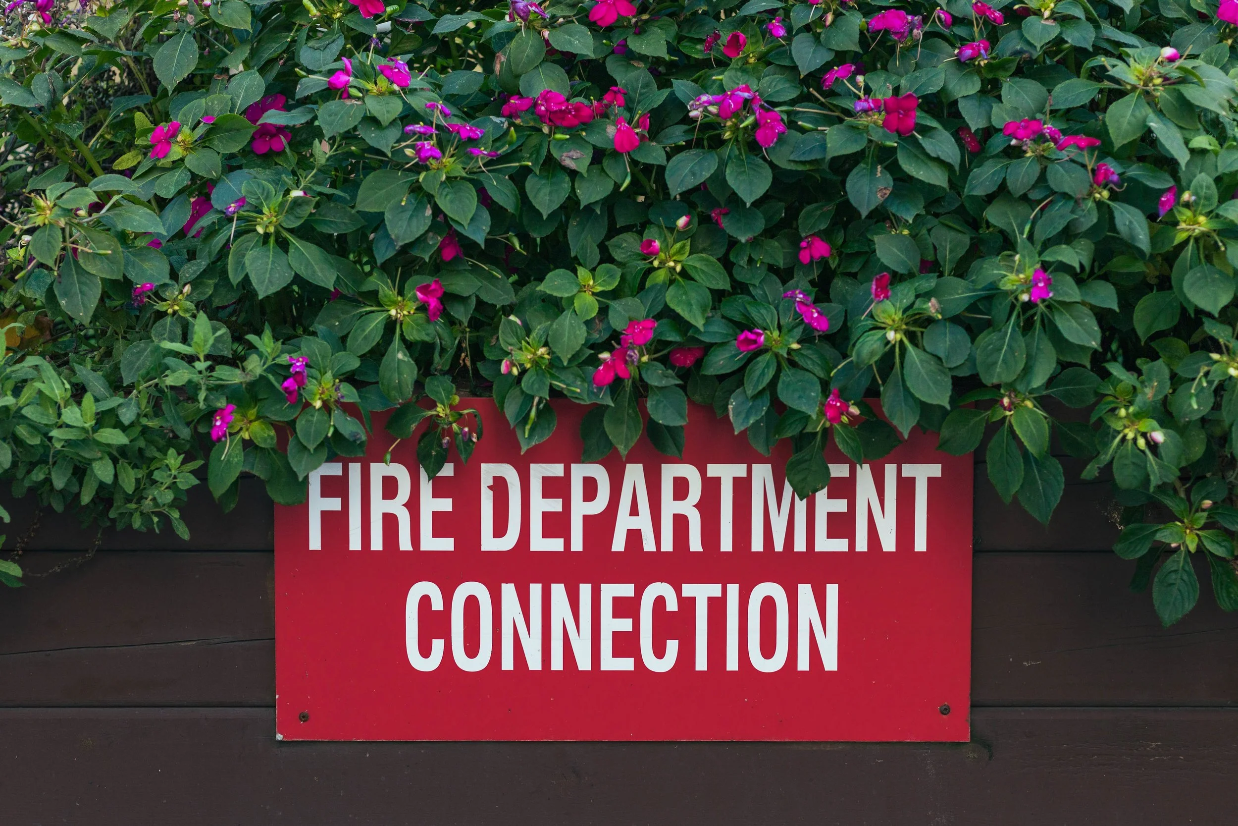 2025.11.26 - Random November Things-4.jpg