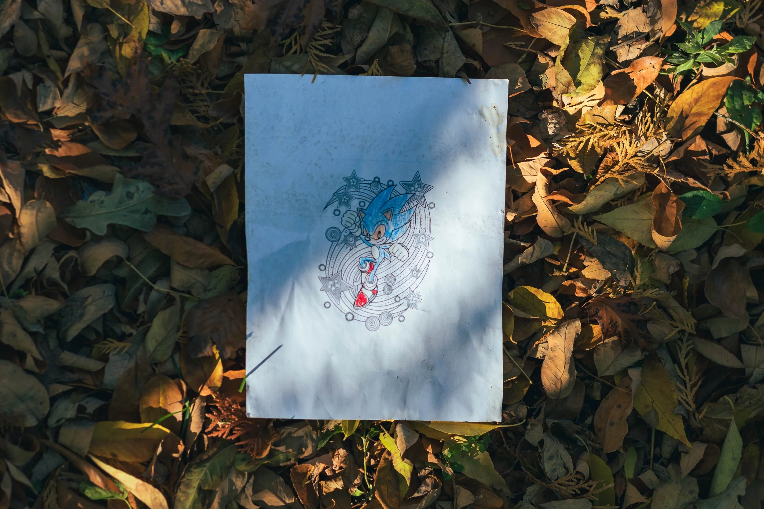 2025.11.26 - Random November Things-6.jpg