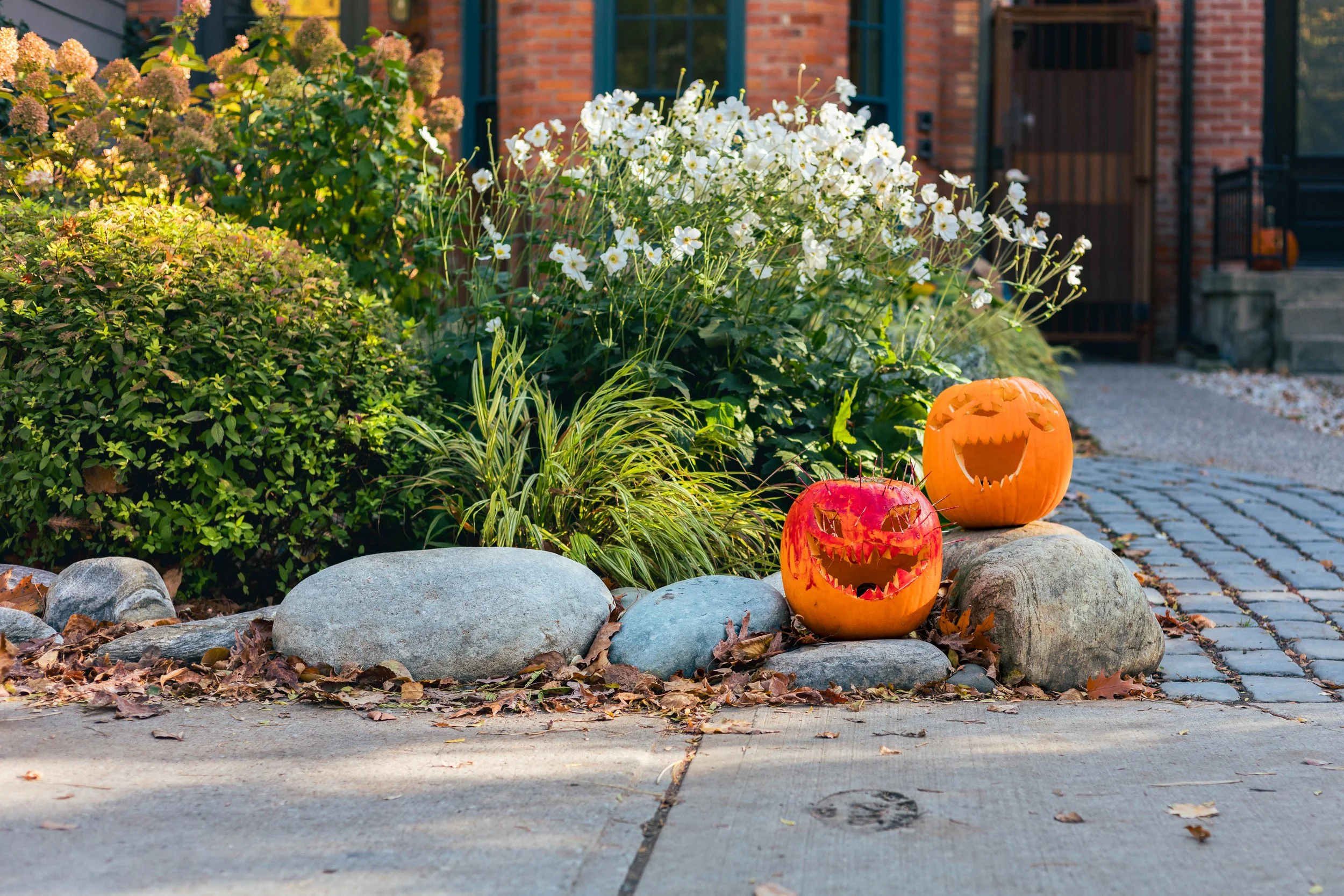 2025.11.26 - Random November Things-7.jpg