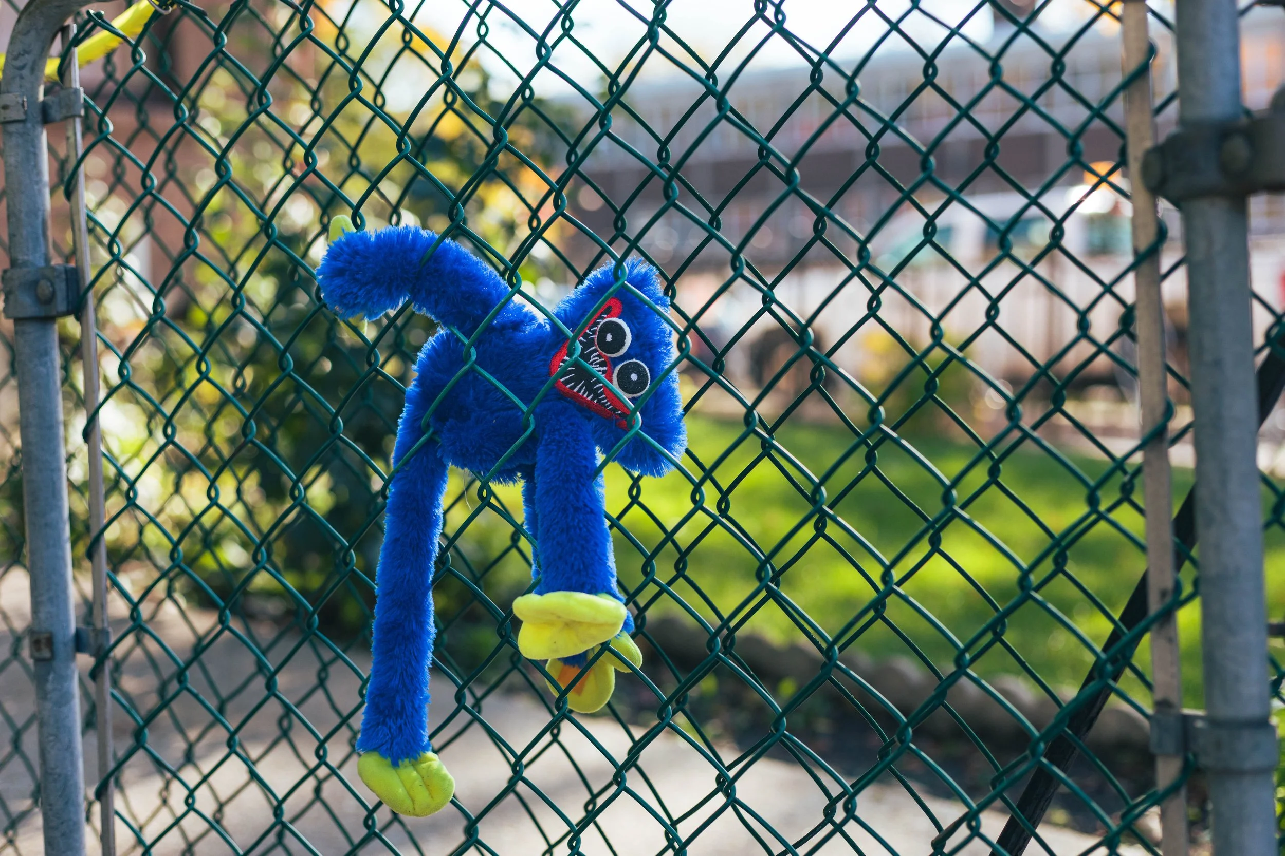 2025.11.26 - Random November Things-8.jpg