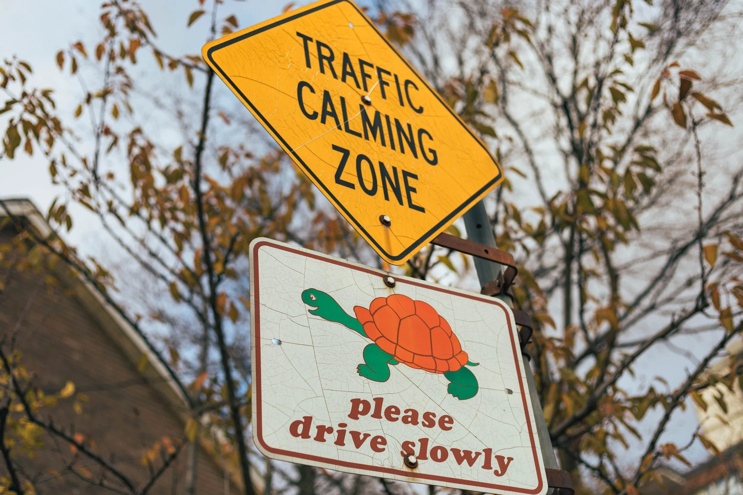 2025.11.26 - Random November Things-16.jpg