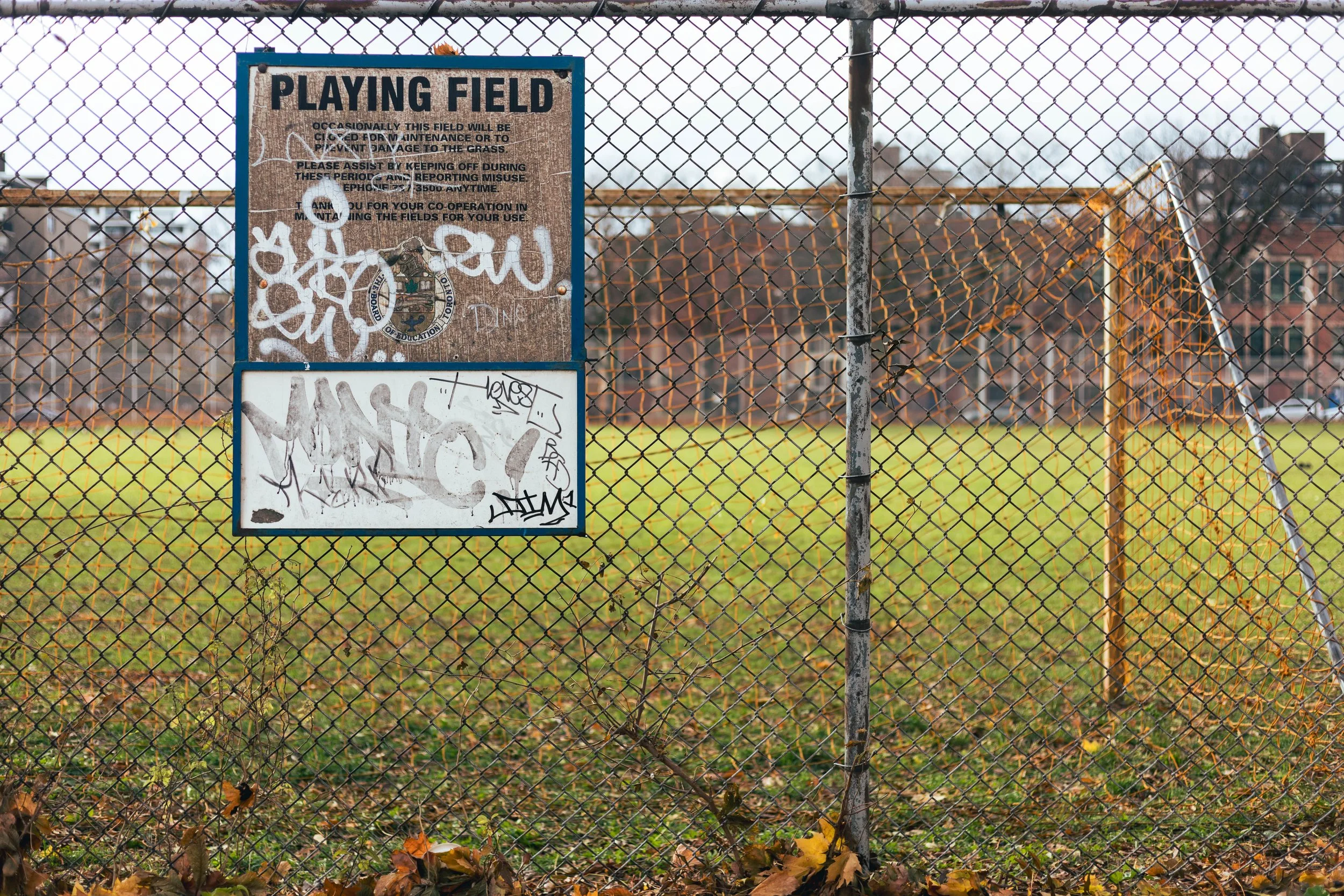 2025.11.30 - End November Wandering-1.jpg