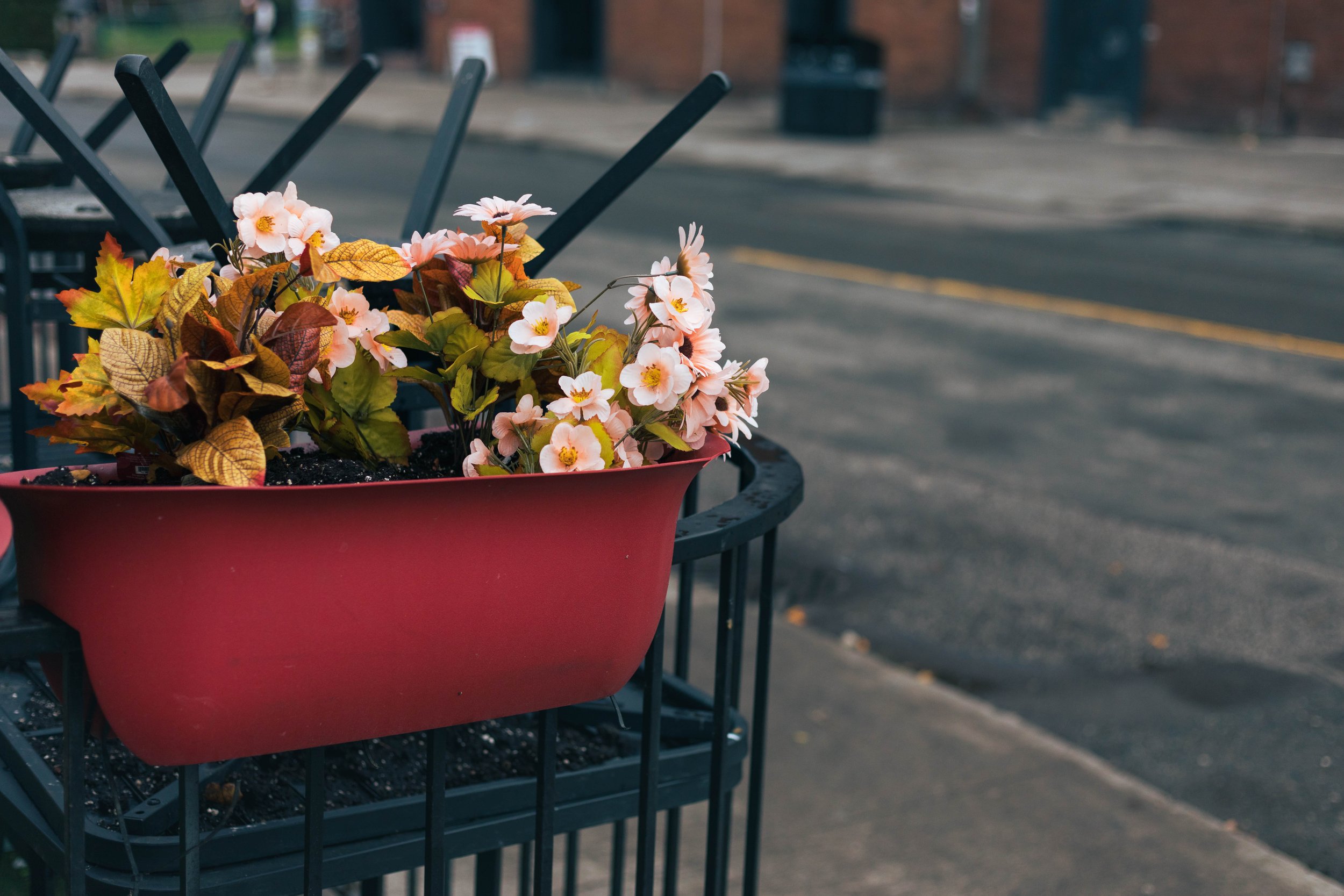 2025.11.30 - End November Wandering-4.jpg