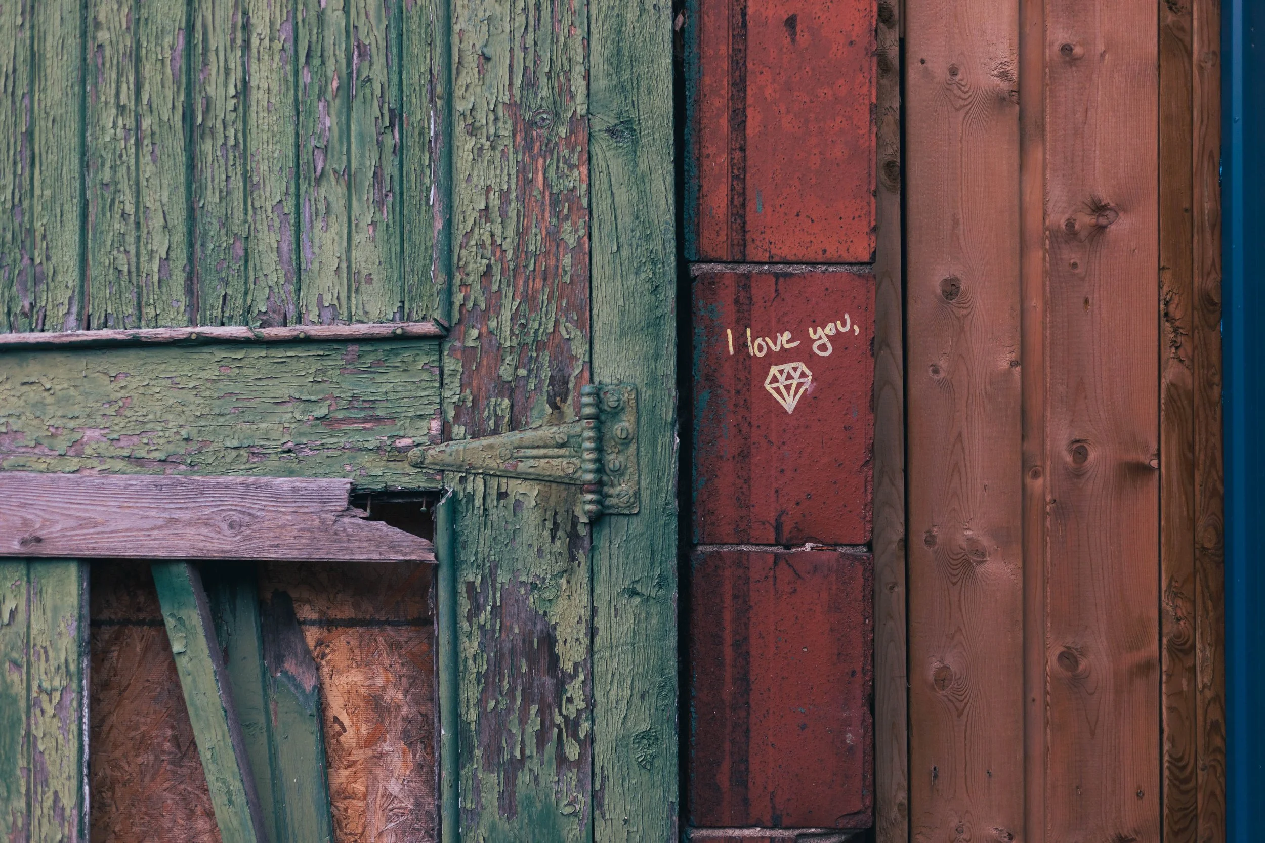 2025.11.30 - End November Wandering-6.jpg