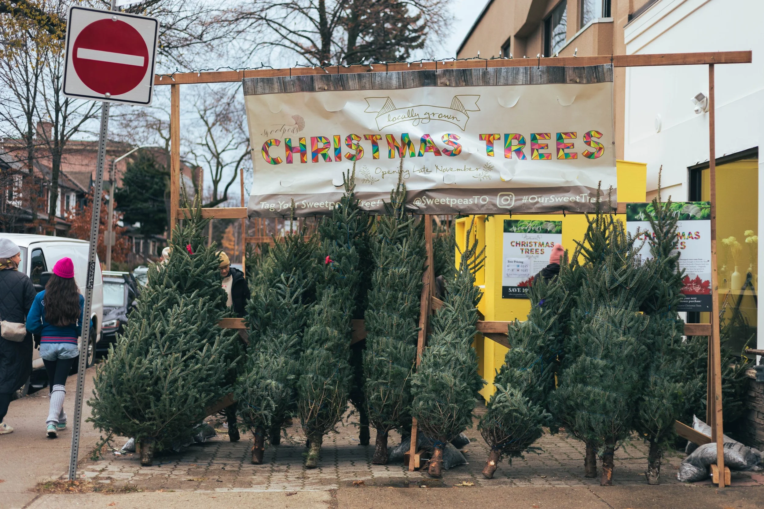 2025.11.30 - End November Wandering-7.jpg