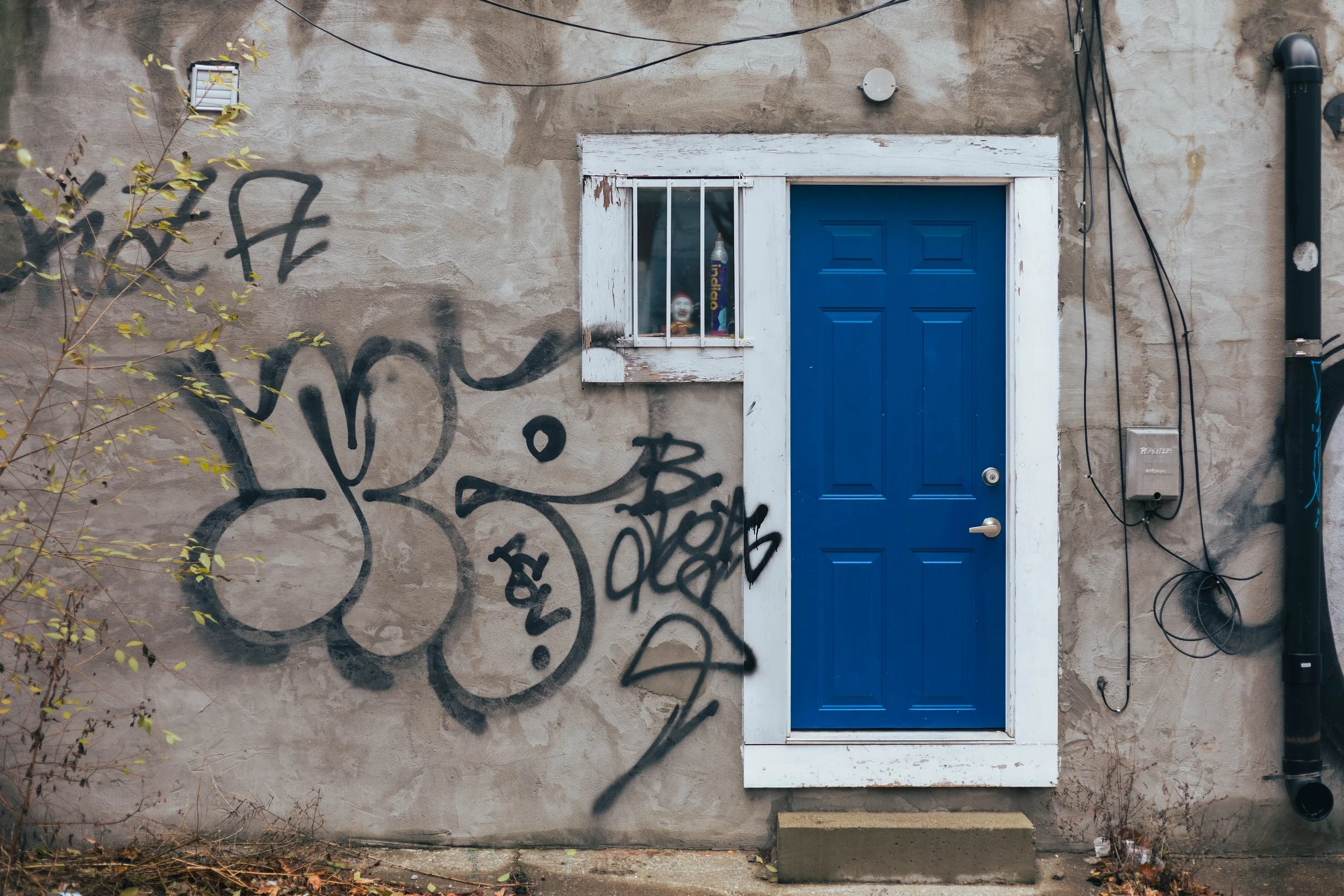 2025.11.30 - End November Wandering-10.jpg