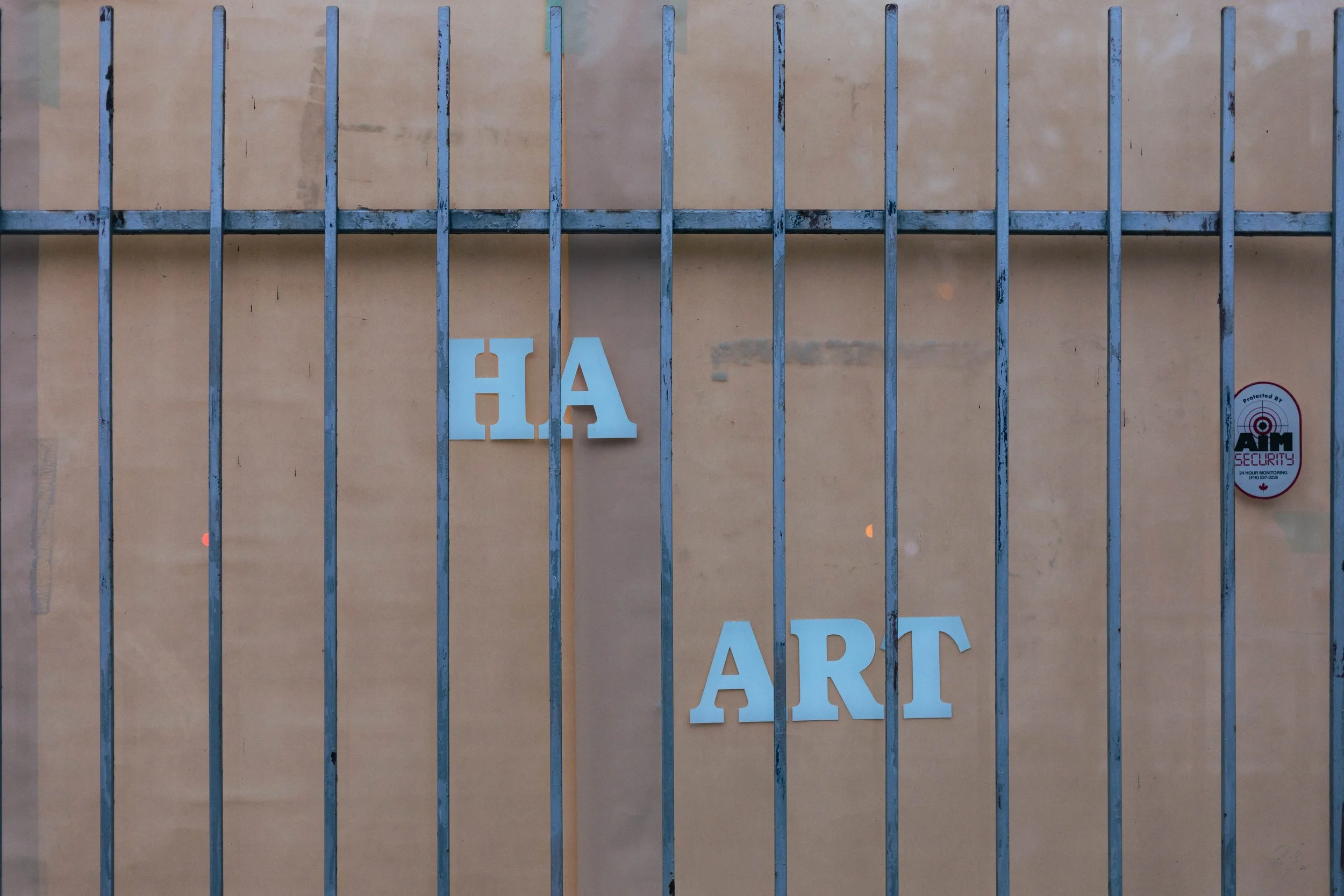 2025.11.30 - End November Wandering-17.jpg