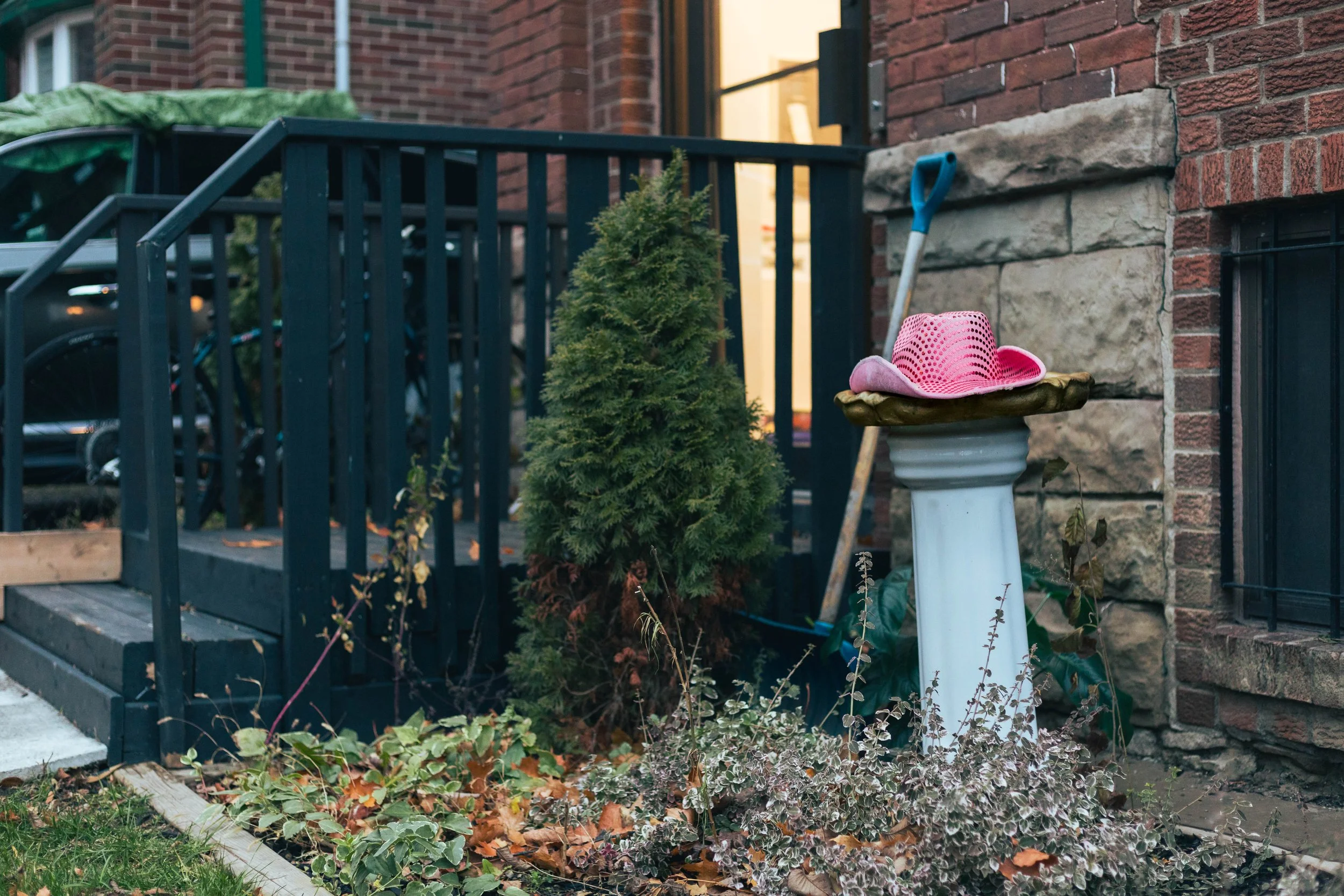 2025.11.30 - End November Wandering-19.jpg