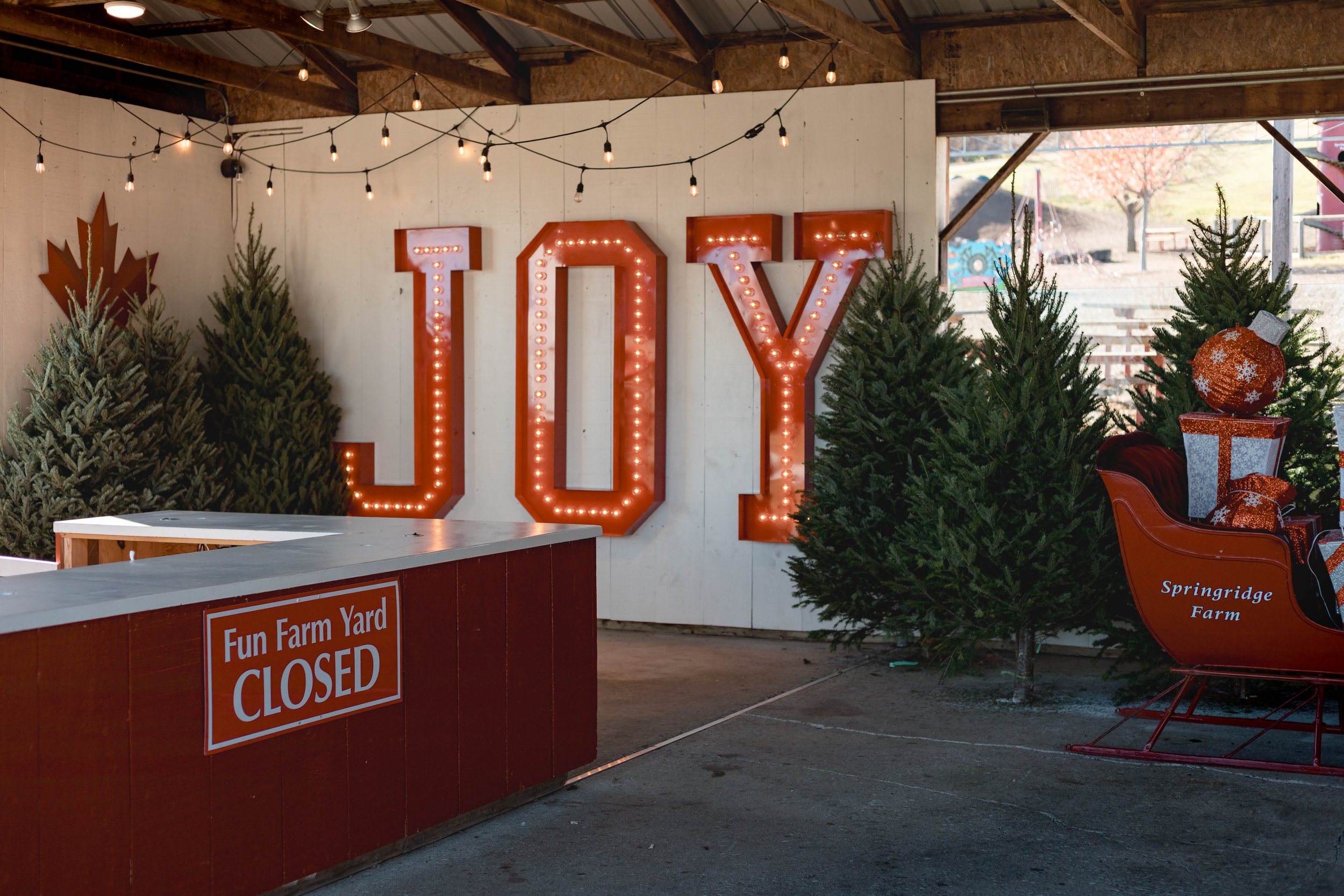 2024.11.09 - Bud Hike-4.jpg