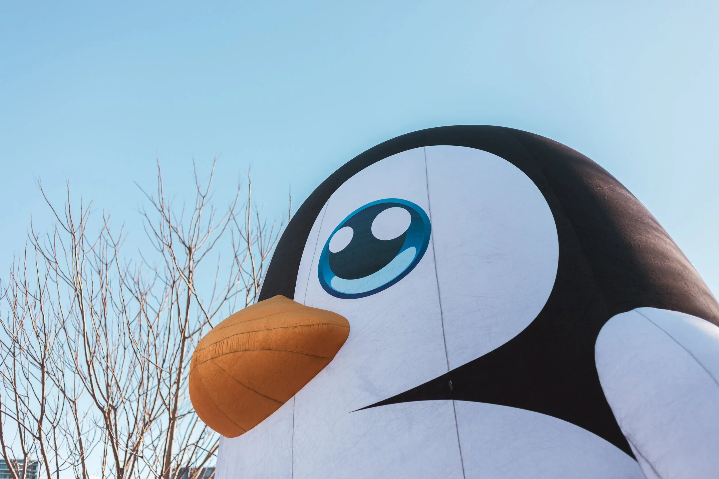 2026.02.14 - So Random-1.jpg