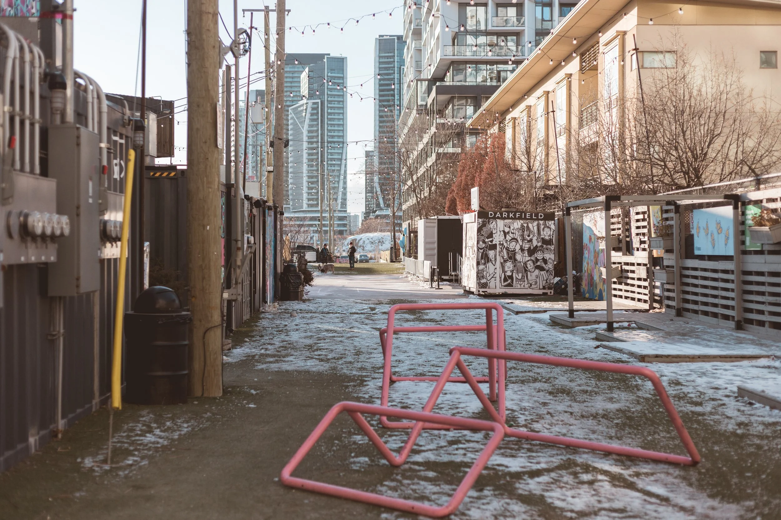 2026.02.14 - So Random-2.jpg