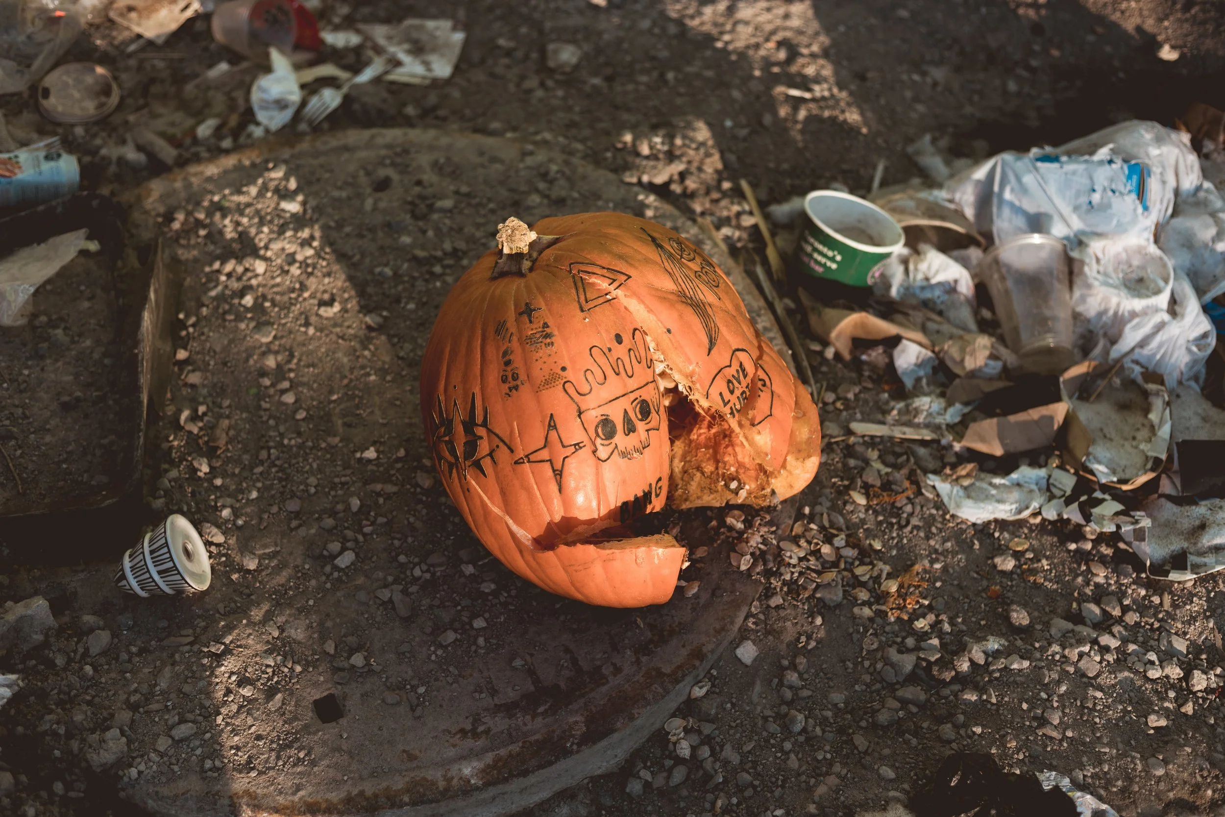 2026.02.14 - So Random-3.jpg