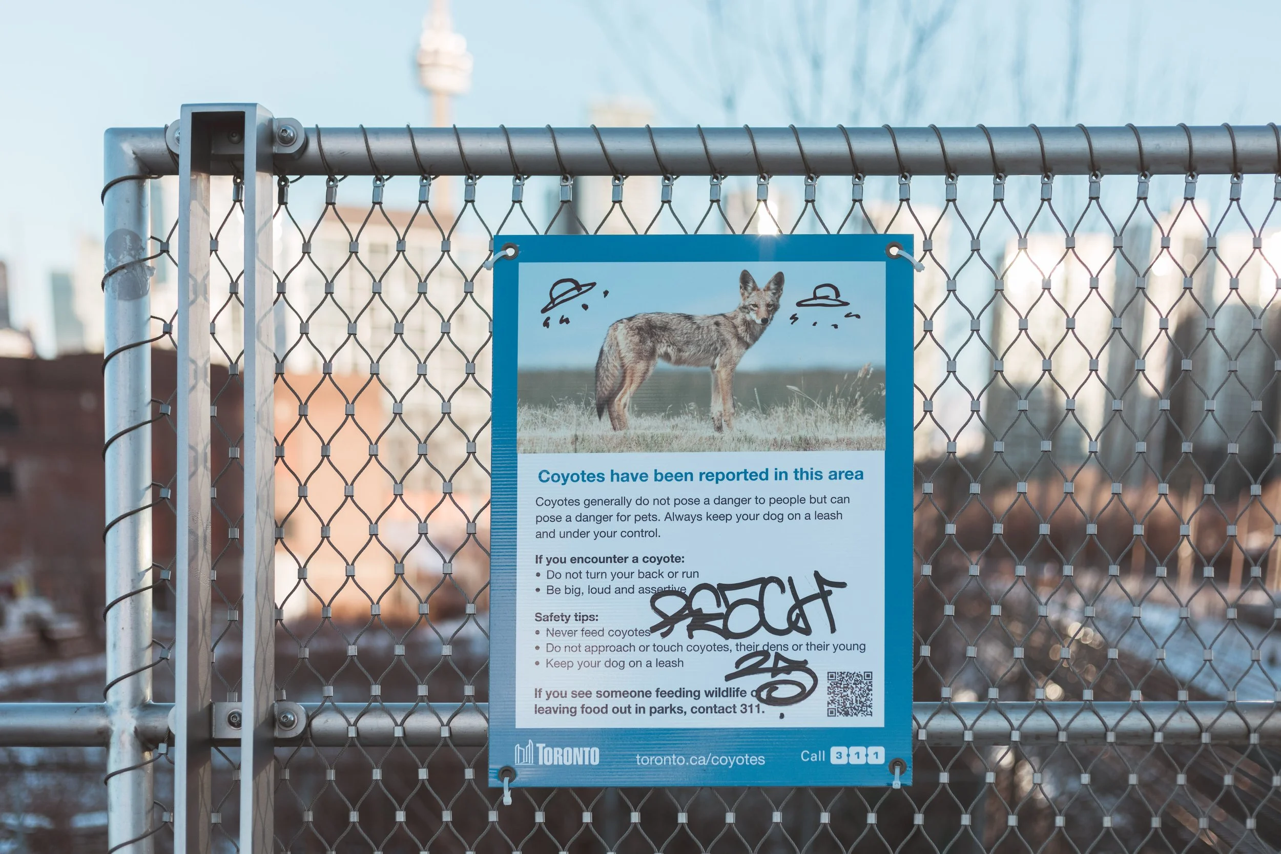 2026.02.14 - So Random-5.jpg