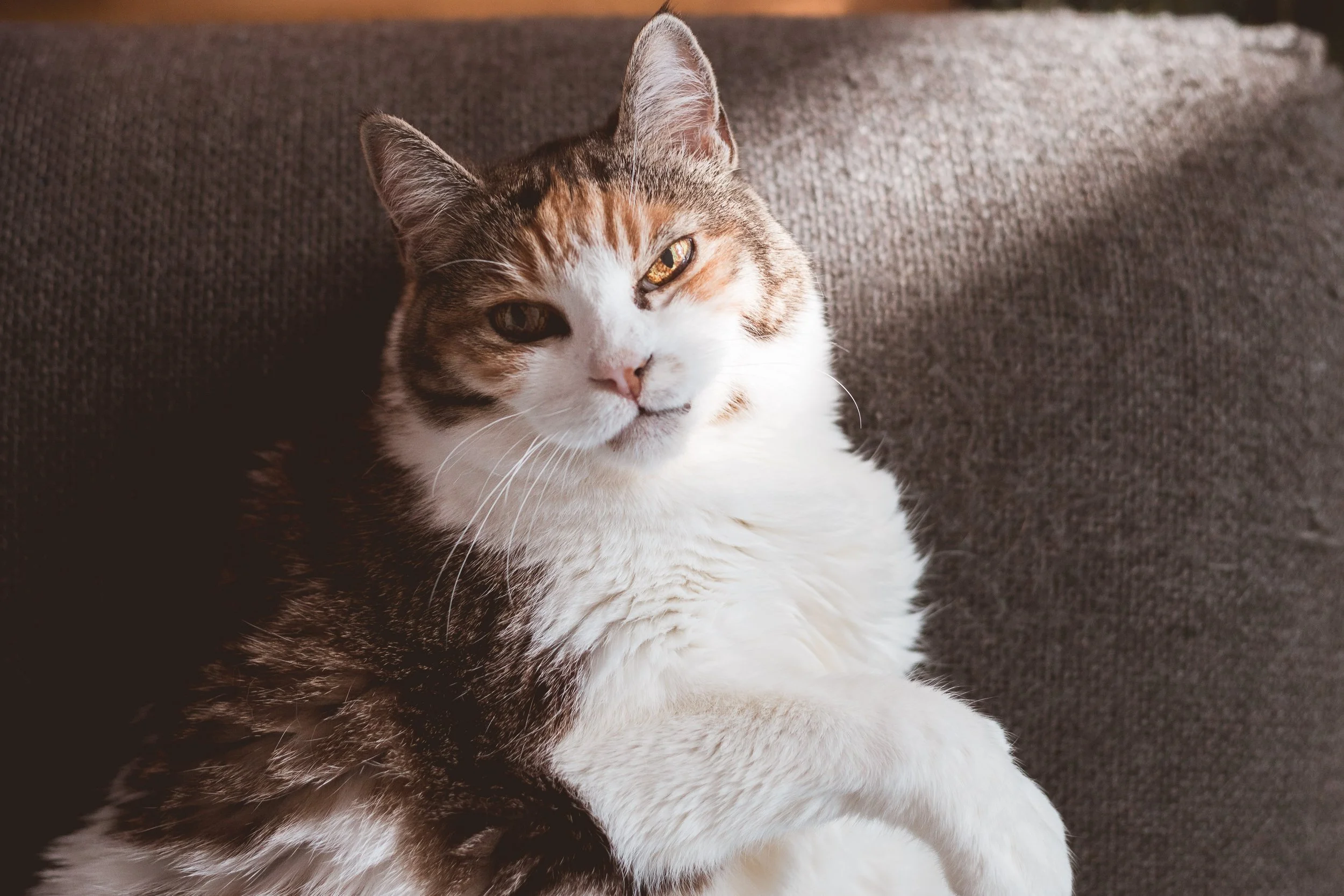 2026.02.14 - So Random-8.jpg