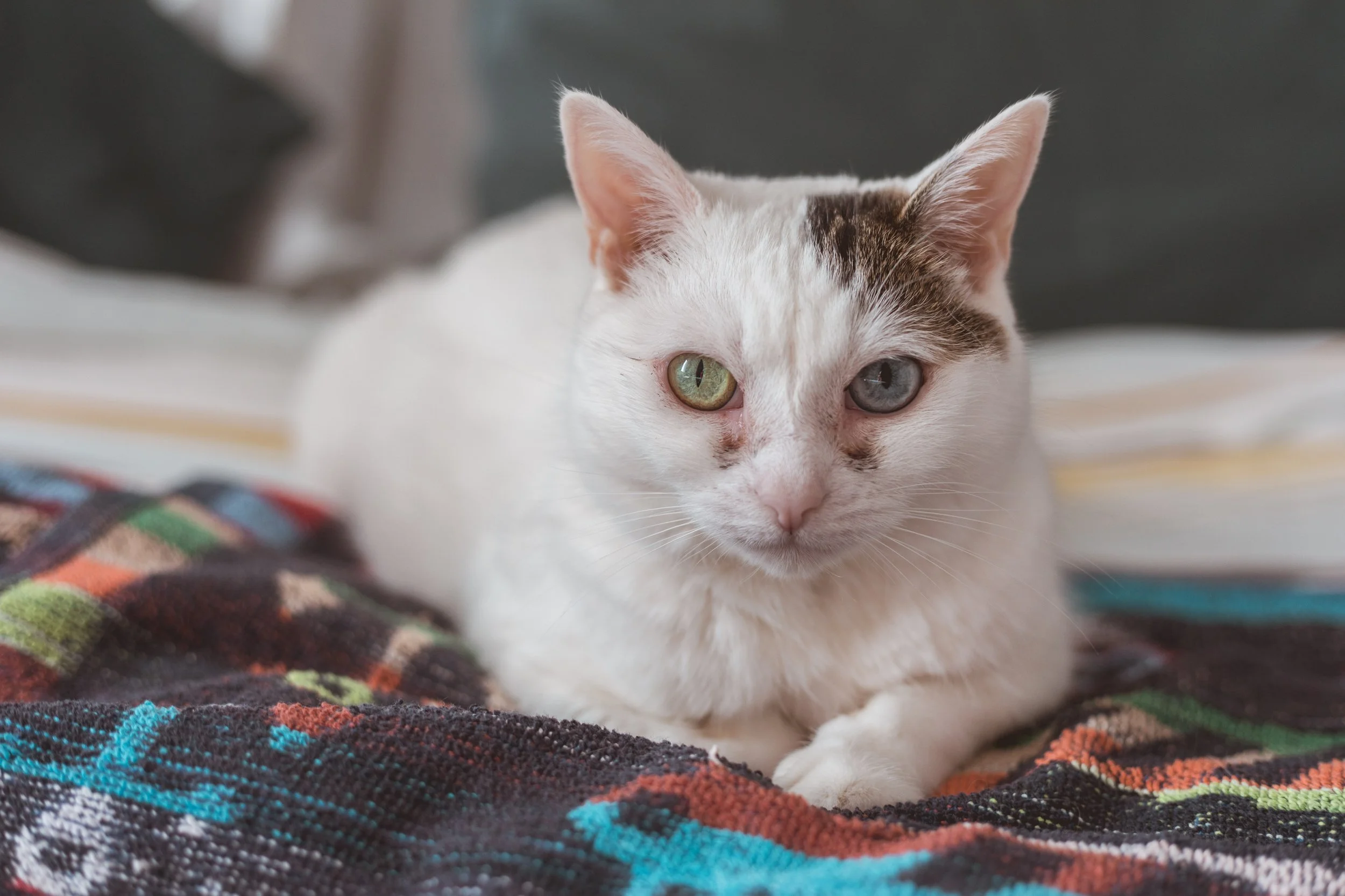 2026.02.14 - So Random-9.jpg