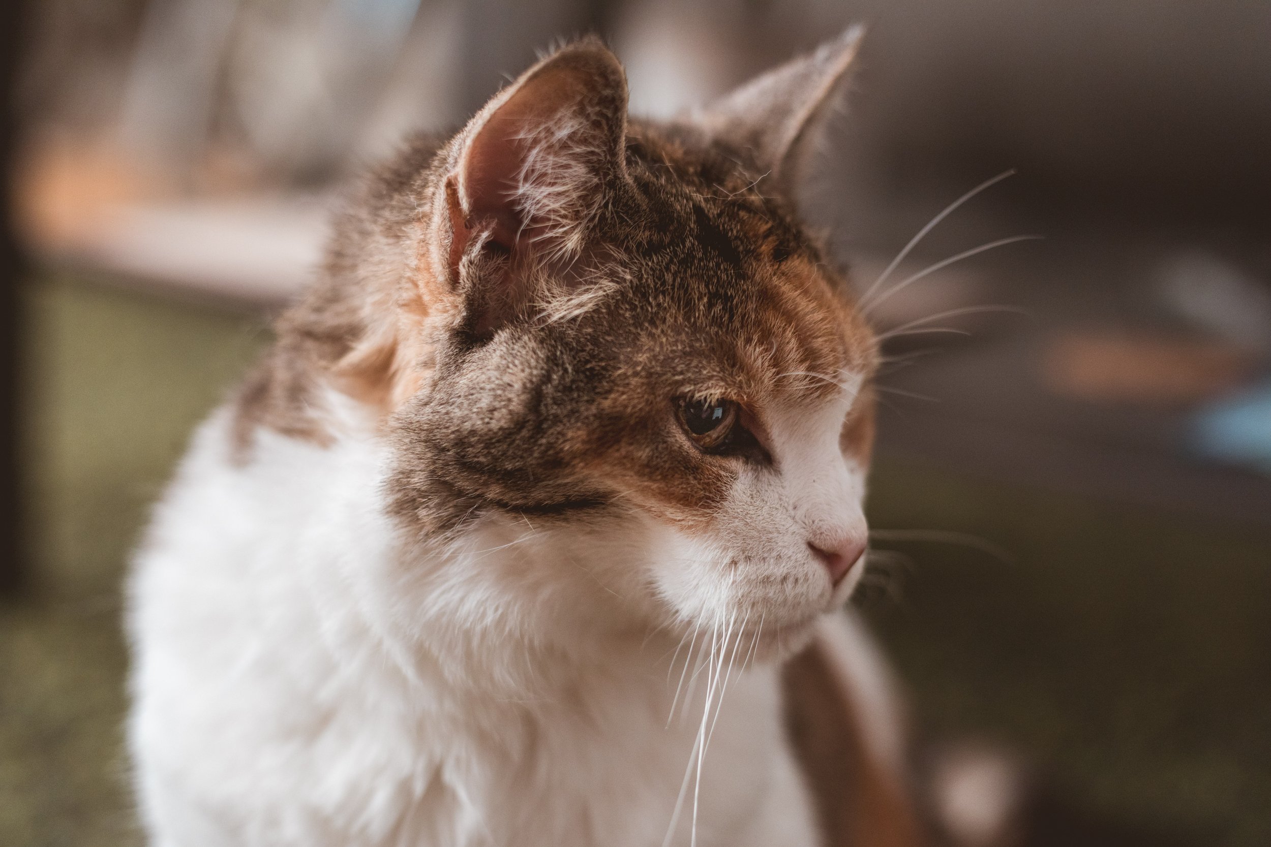 2026.02.14 - So Random-10.jpg