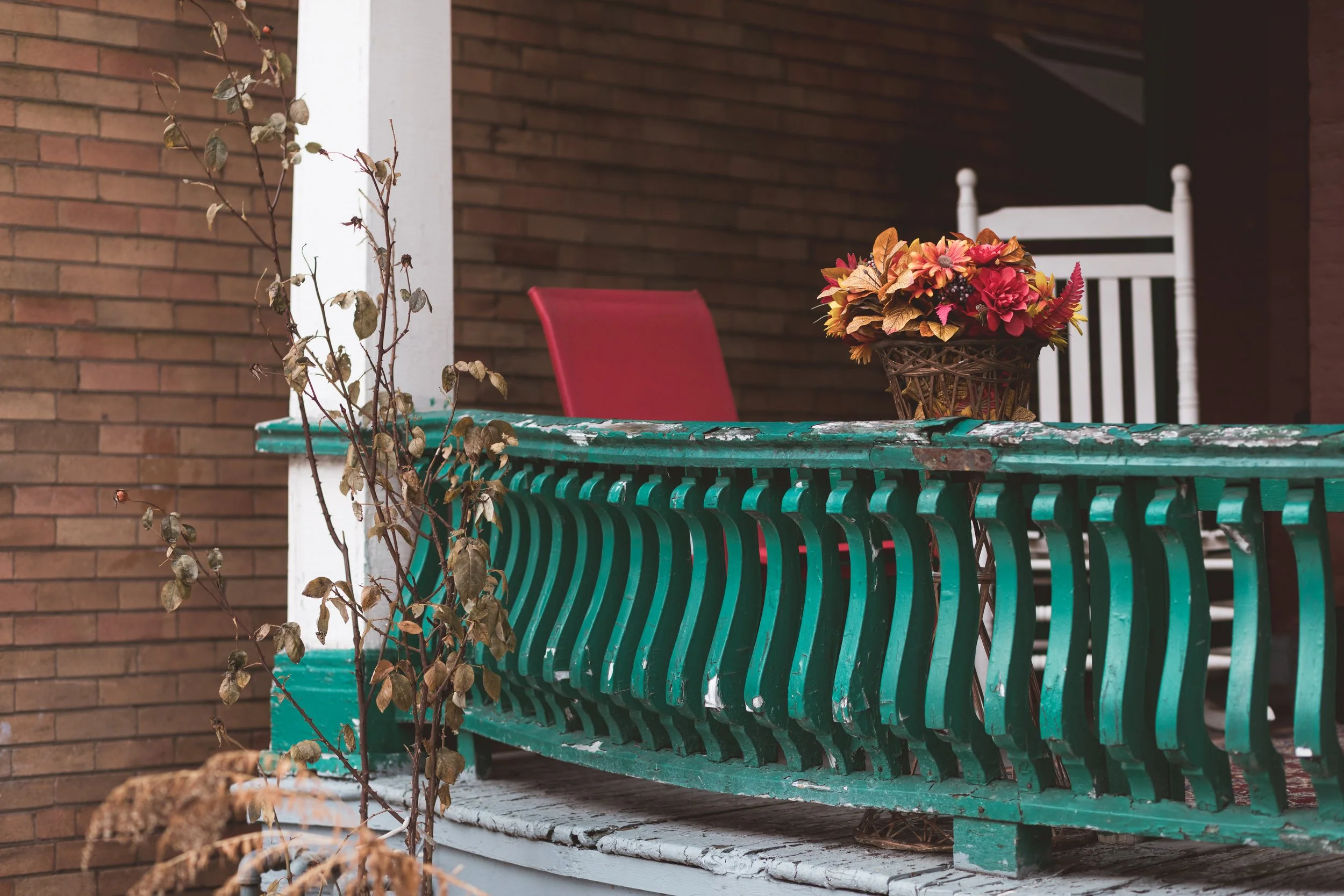 2026.04.04 - So Random Springs-2.jpg