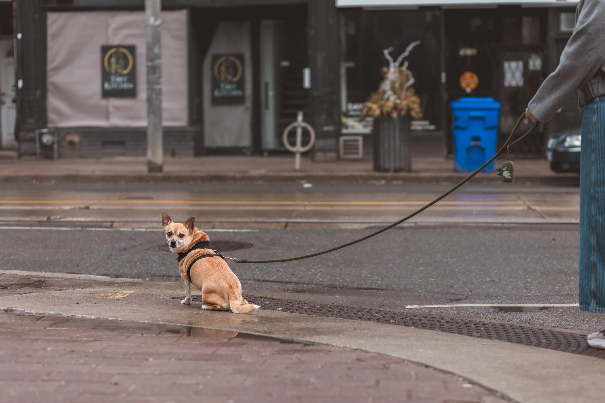 2026.04.04 - So Random Springs-3.jpg