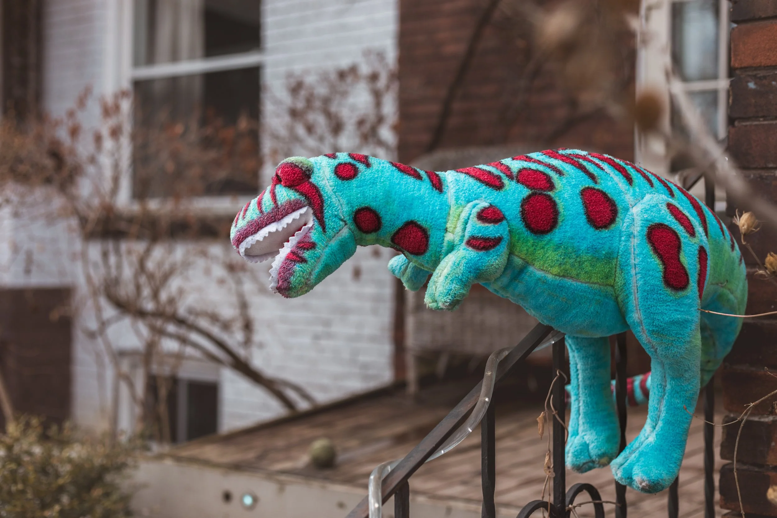 2026.04.04 - So Random Springs-5.jpg