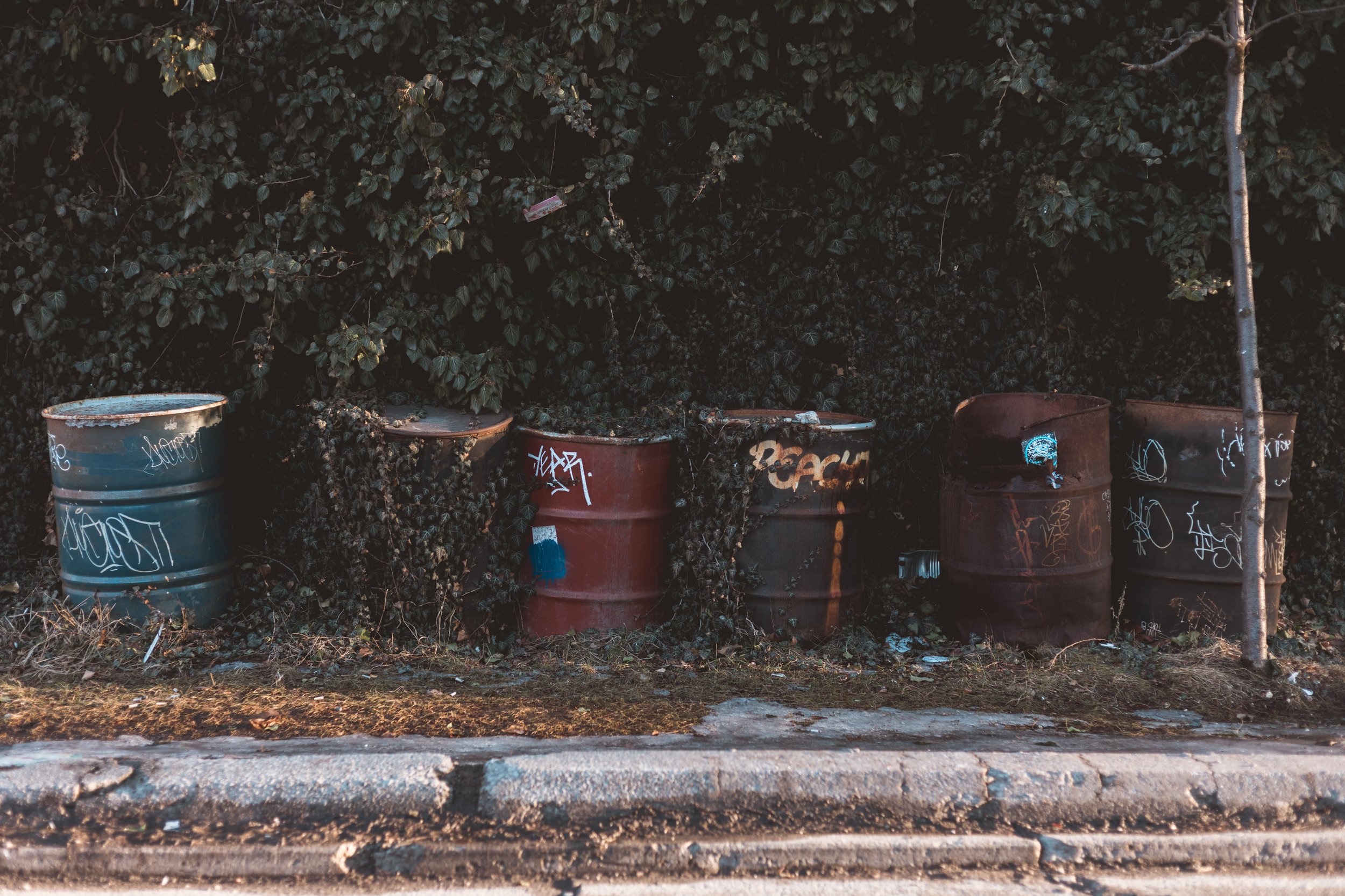 2026.04.04 - So Random Springs-10.jpg