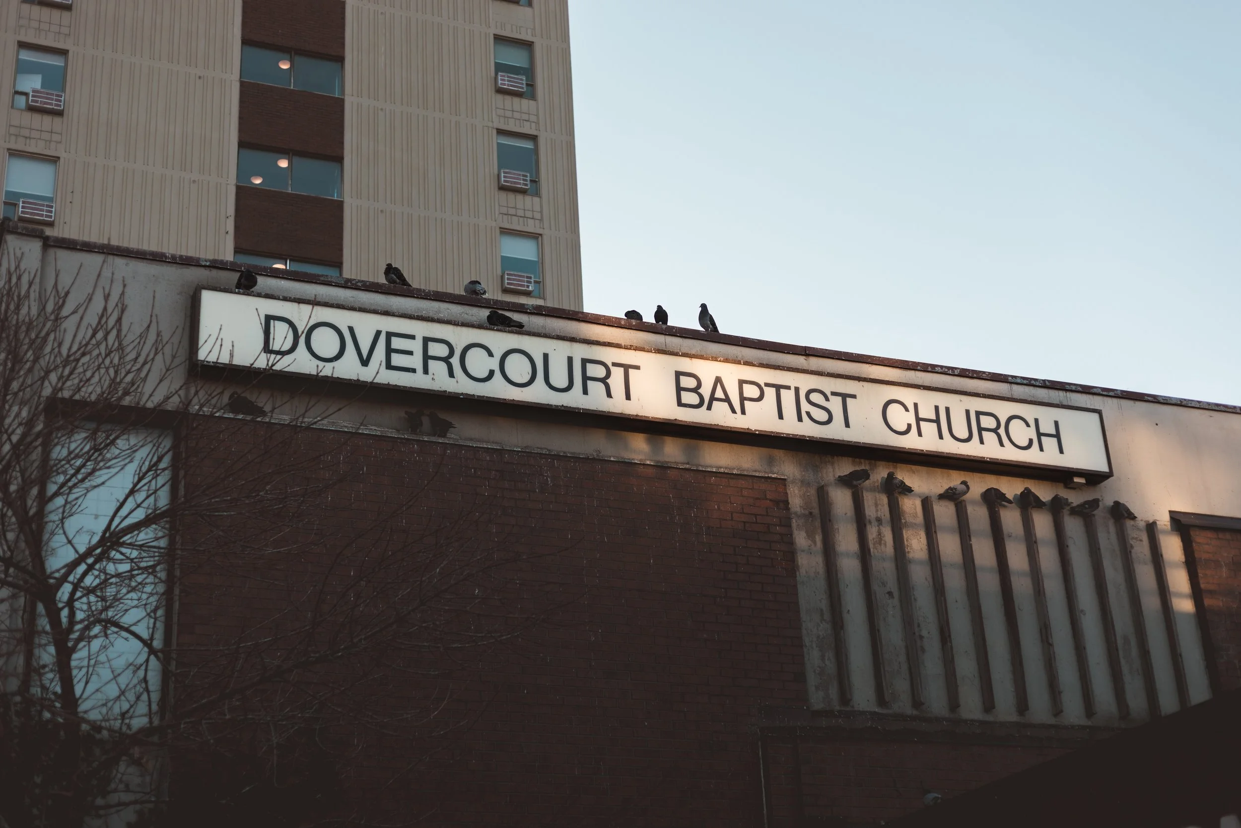 2026.04.04 - So Random Springs-11.jpg