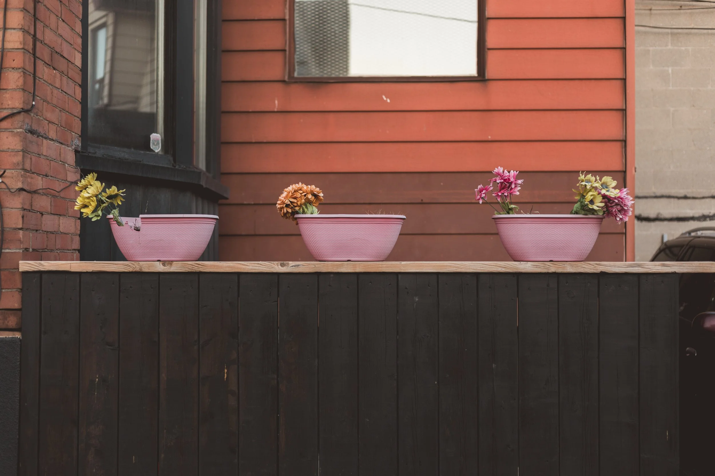 2026.04.04 - So Random Springs-13.jpg