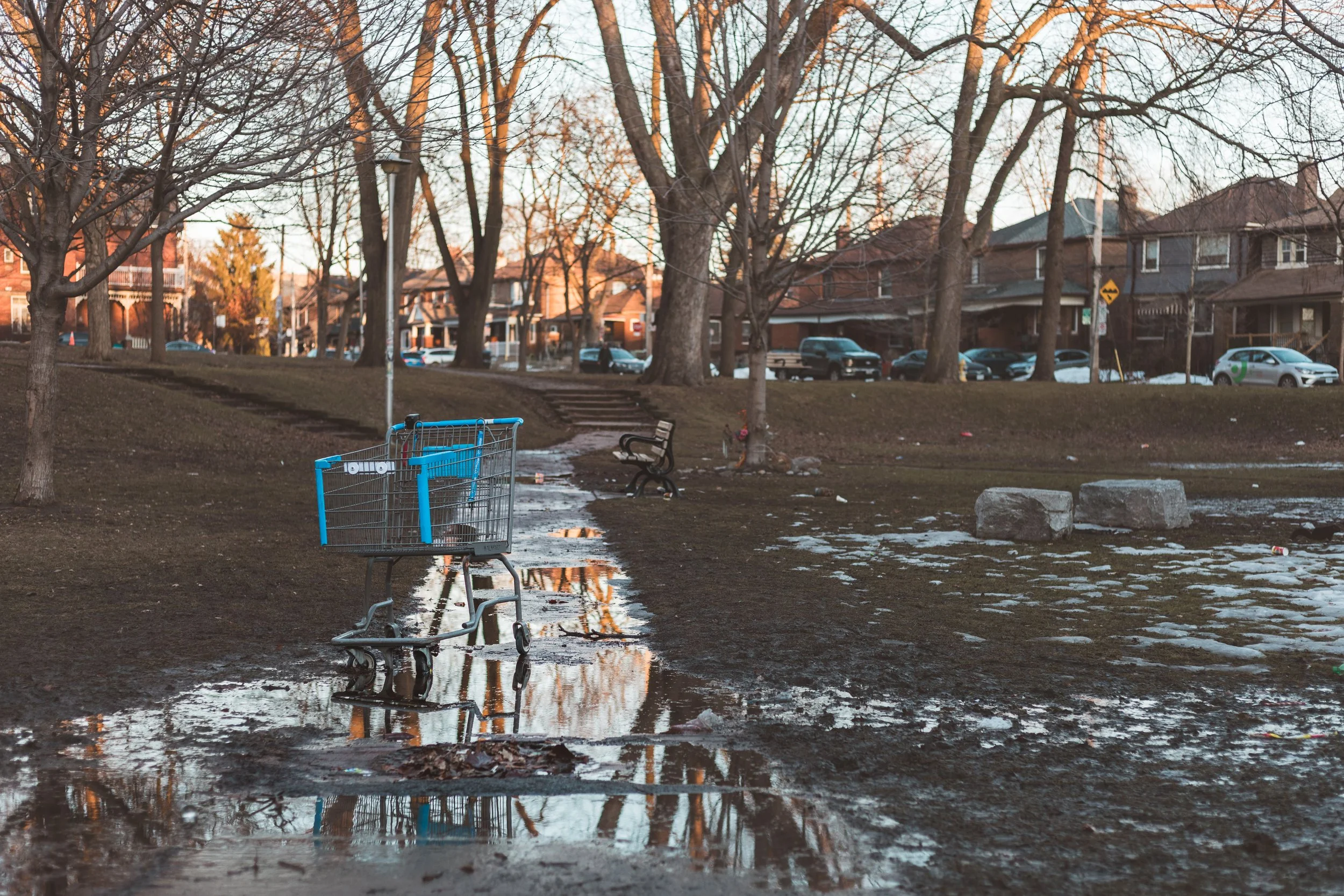 2026.04.04 - So Random Springs-12.jpg