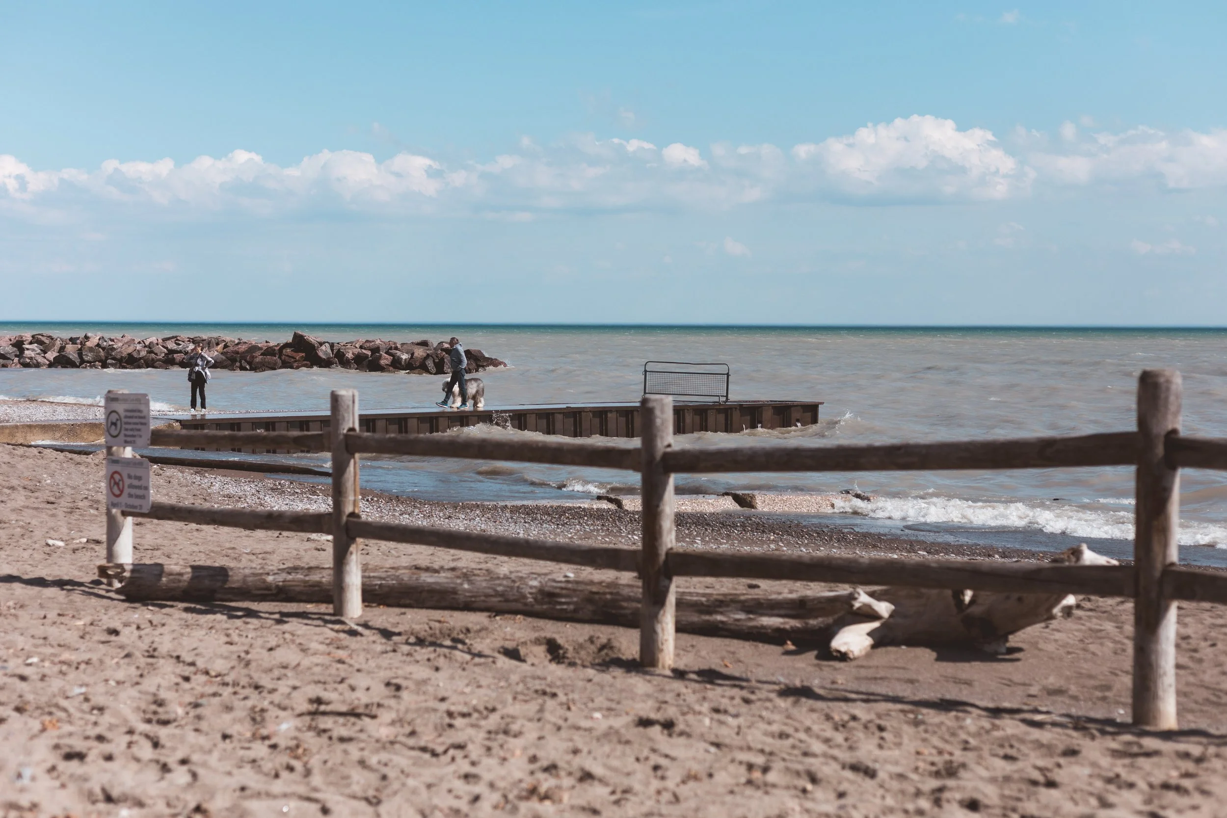 2026.04.04 - So Random Springs-17.jpg