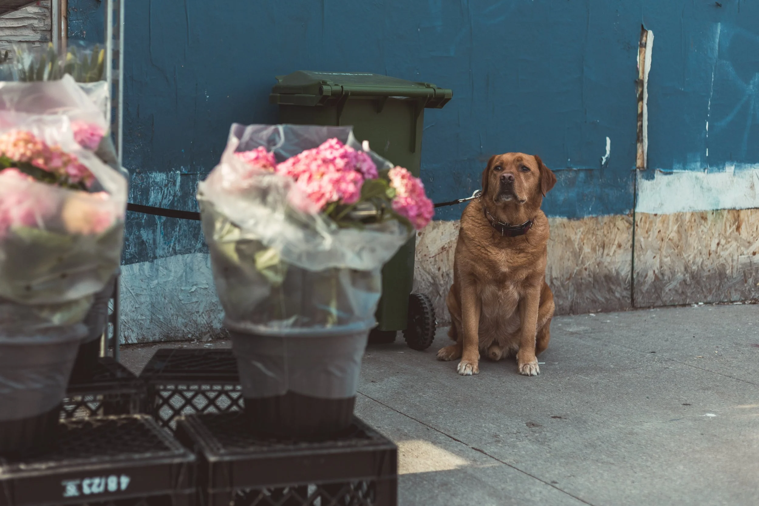 2026.04.08 - Odds and (east)ends - web-5.jpg