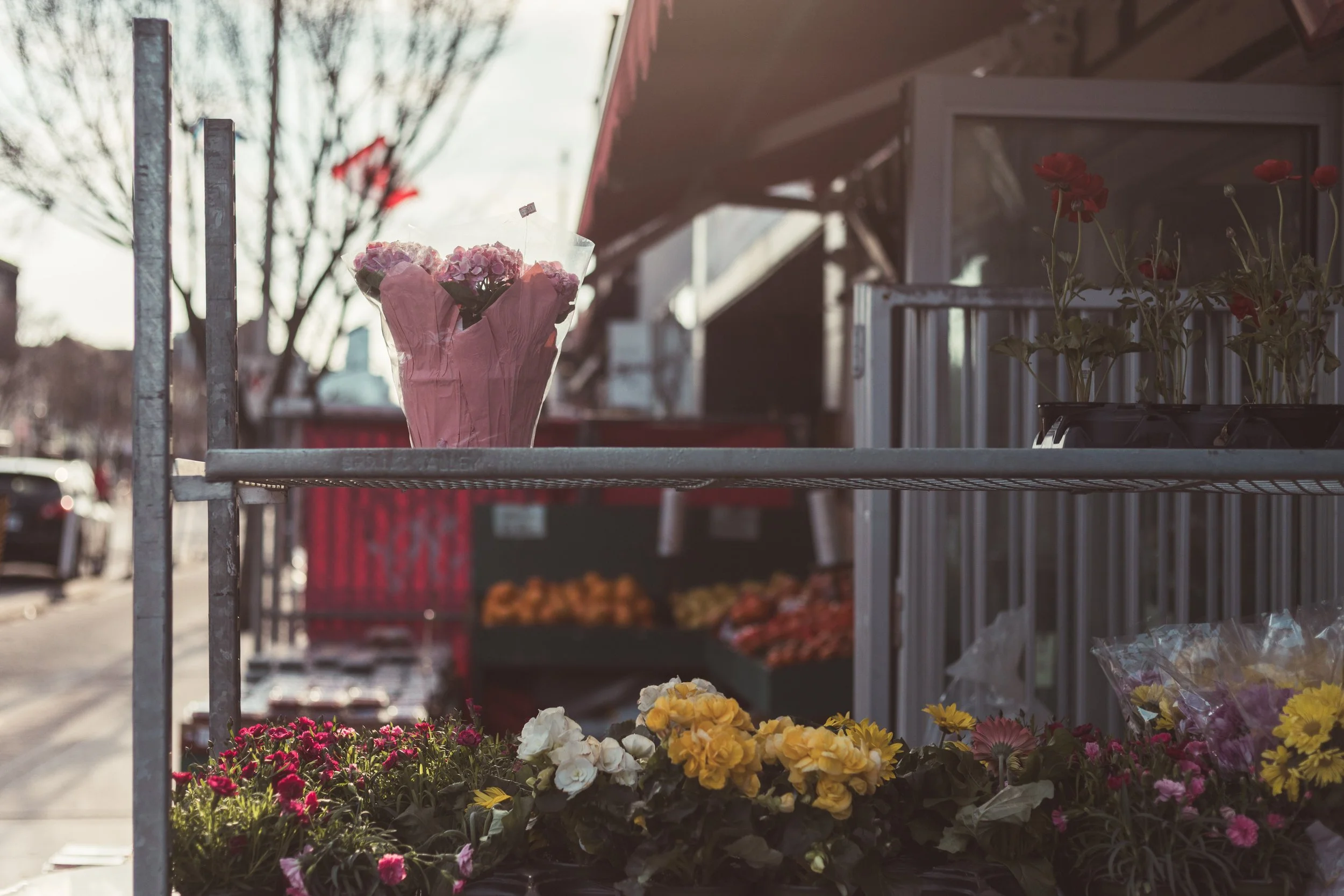 2026.04.08 - Odds and (east)ends - web-7.jpg