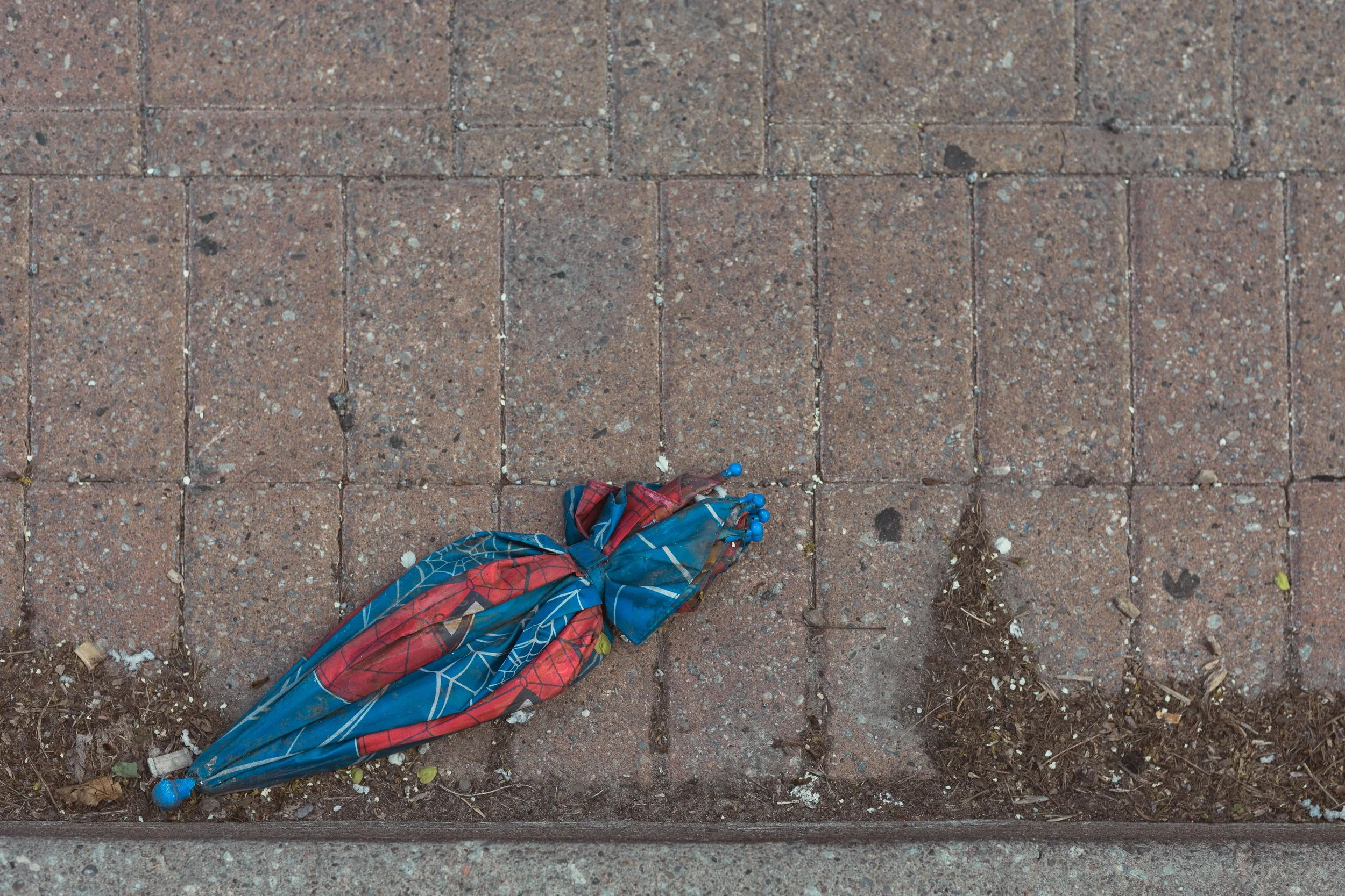 2026.05.15 - Allegedly WEB-12.jpg