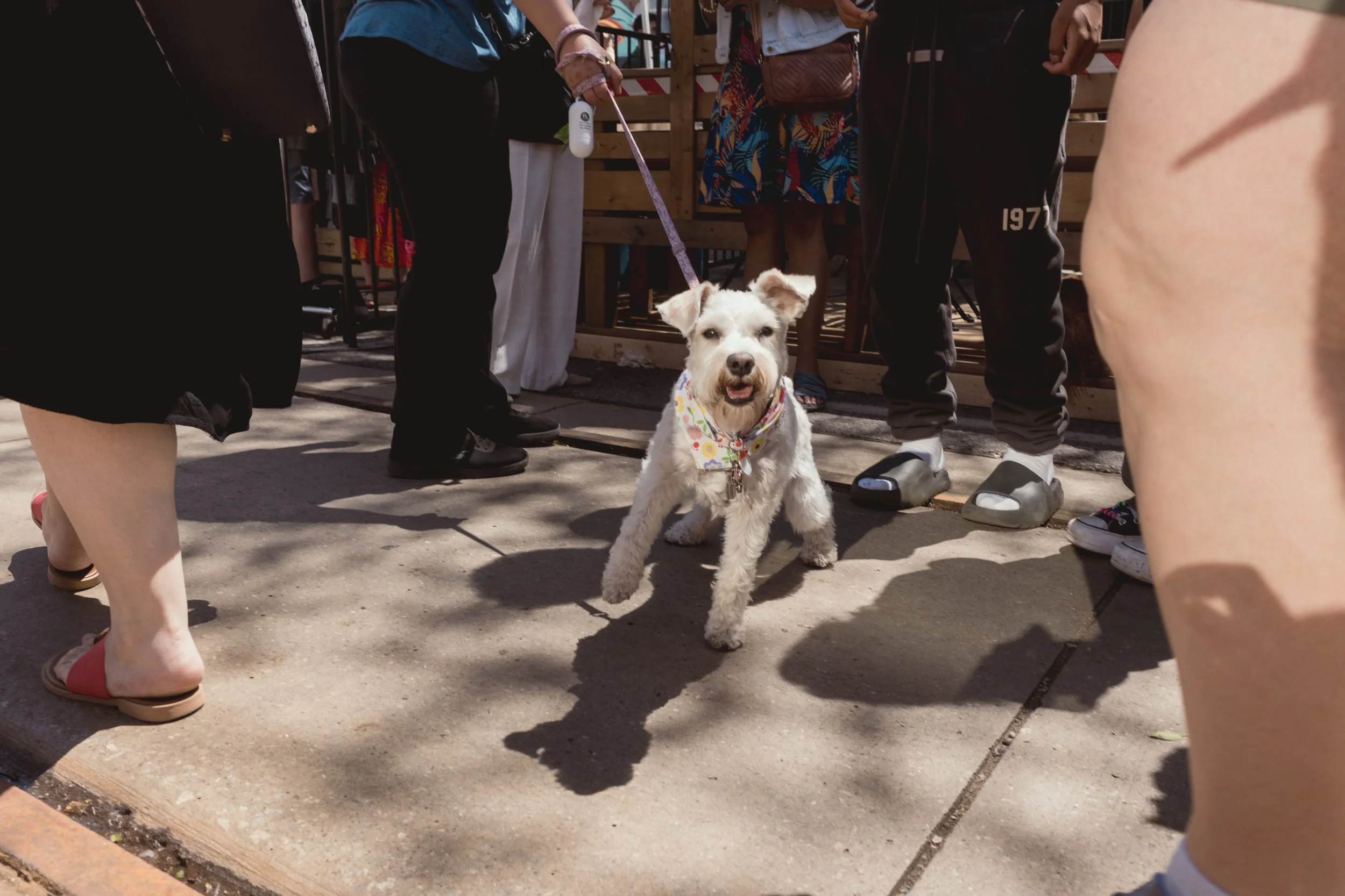2026.06.06 - Do West Fest Plus more - web-15.jpg