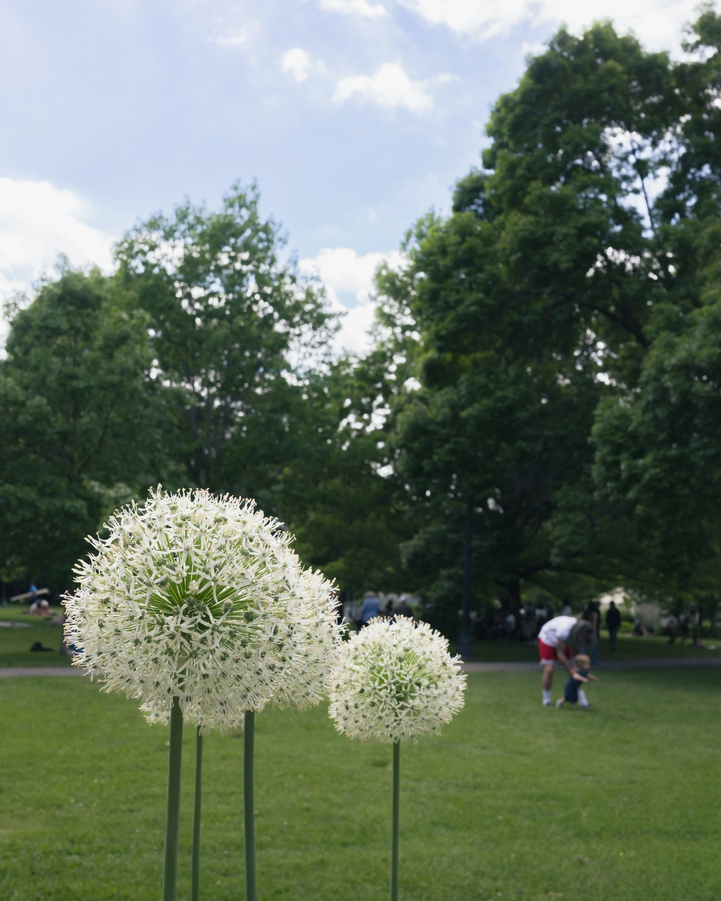 2026.06.07 - Parks and Arts - Web-9.jpg