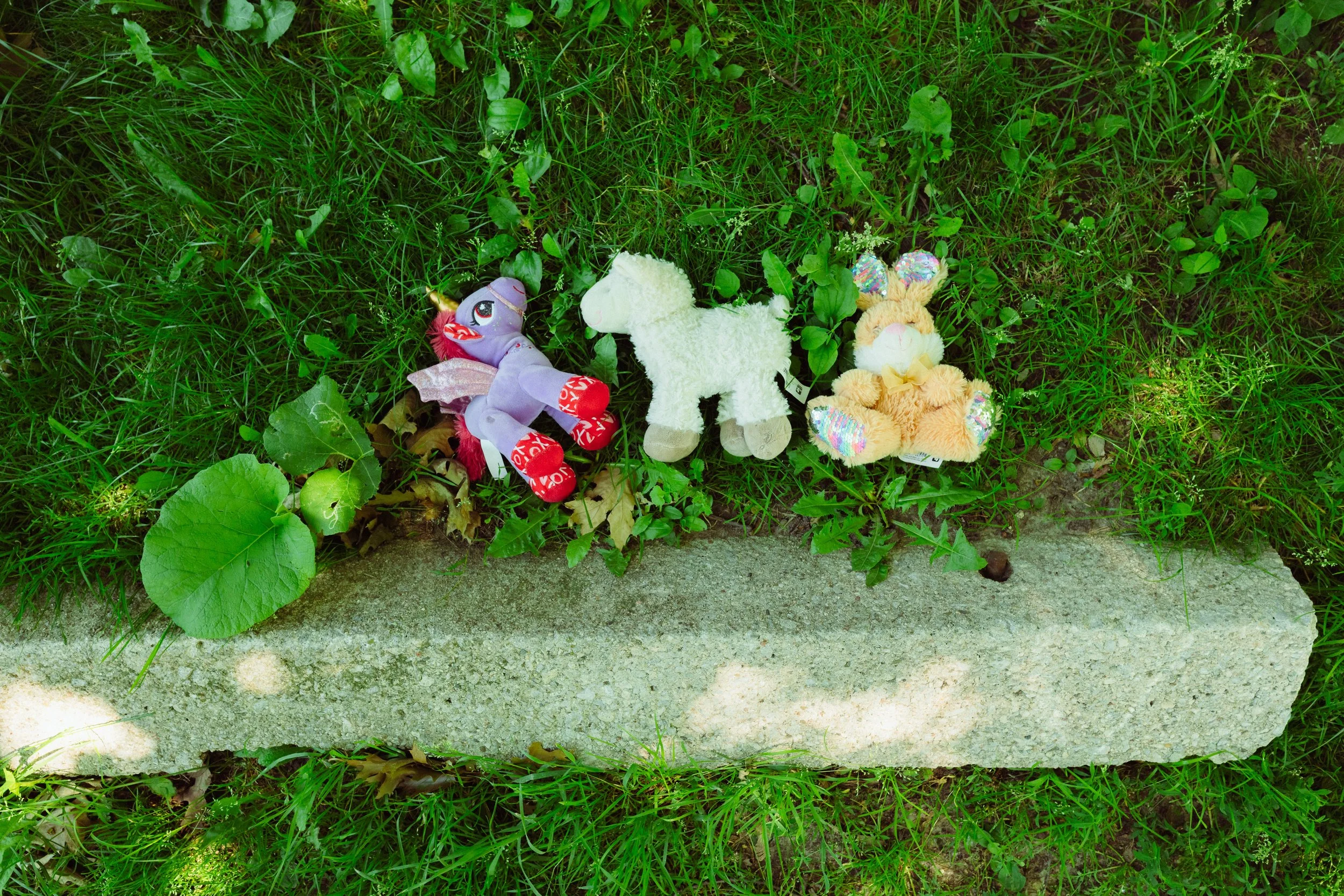 2026.06.28 - Summer Vacay Walks-web-26.jpg